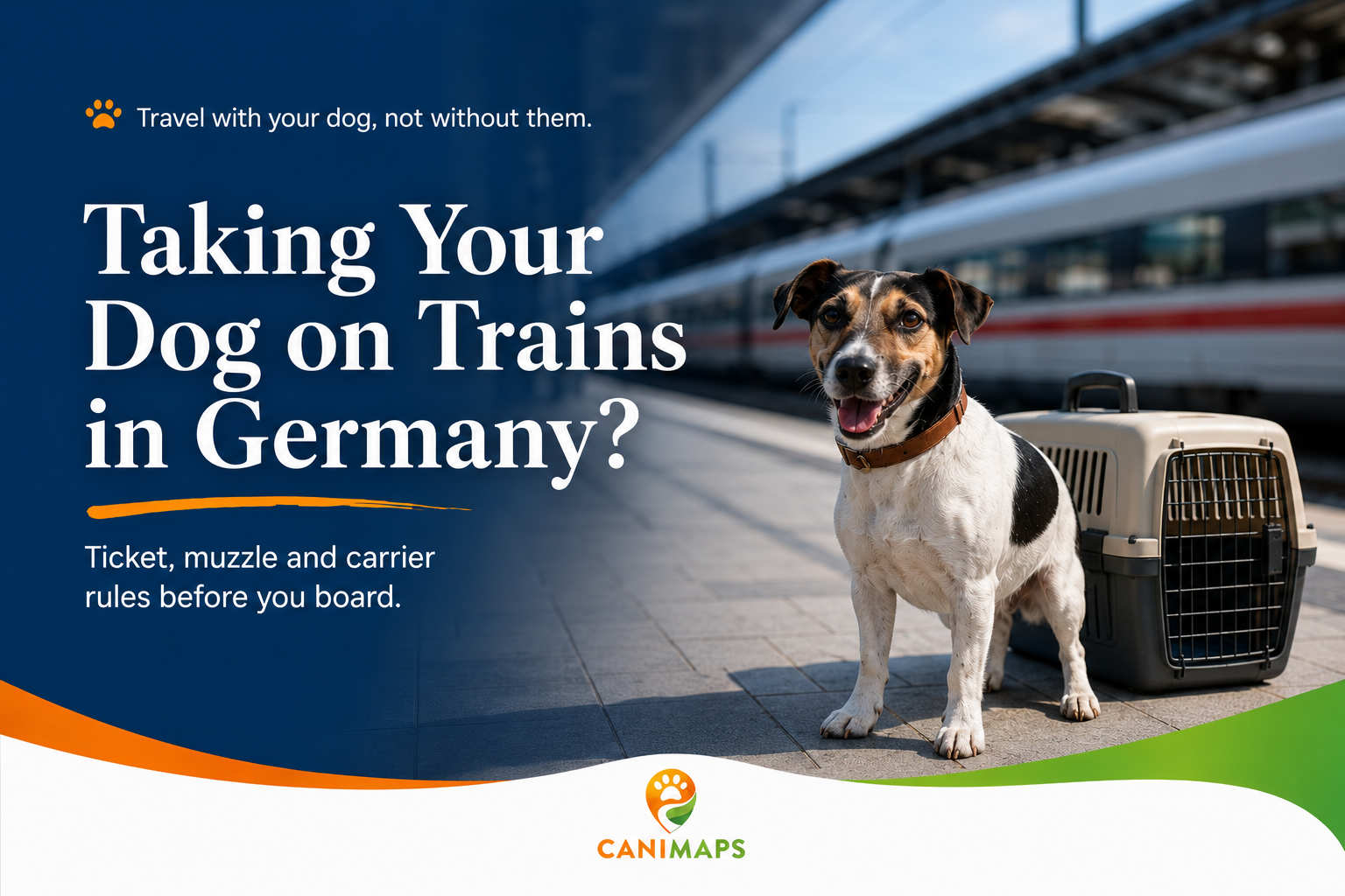 Taking Your Dog on Trains in Germany: What to Check Before You Board