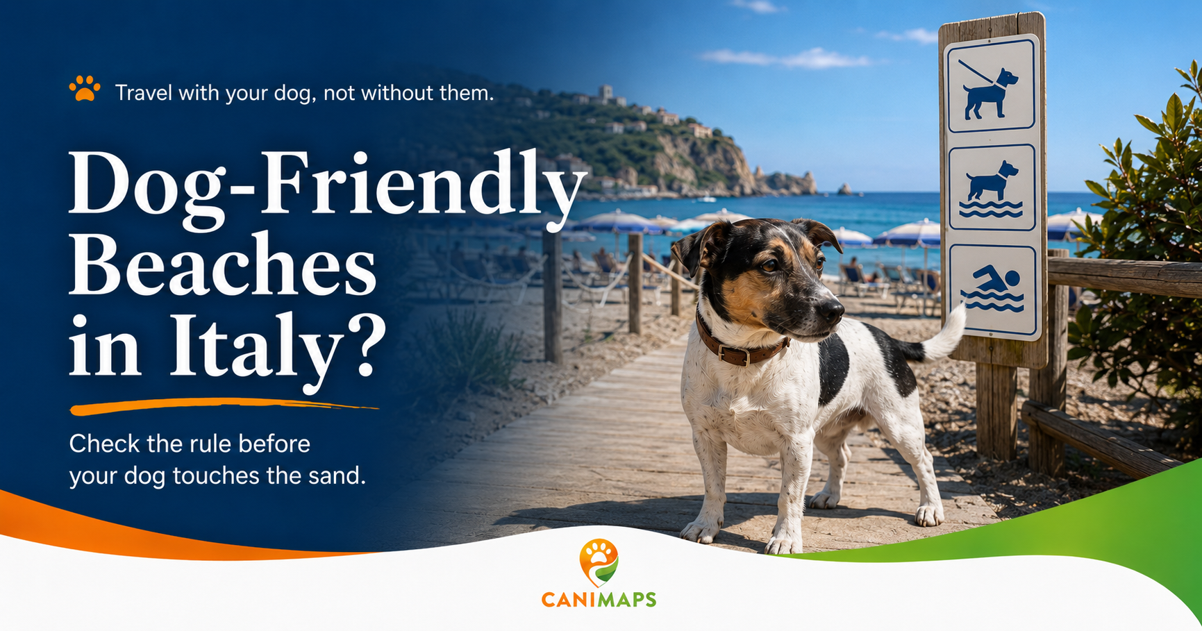 Dog-Friendly Beaches in Italy: What to Check Before Your Dog Touches the Sand