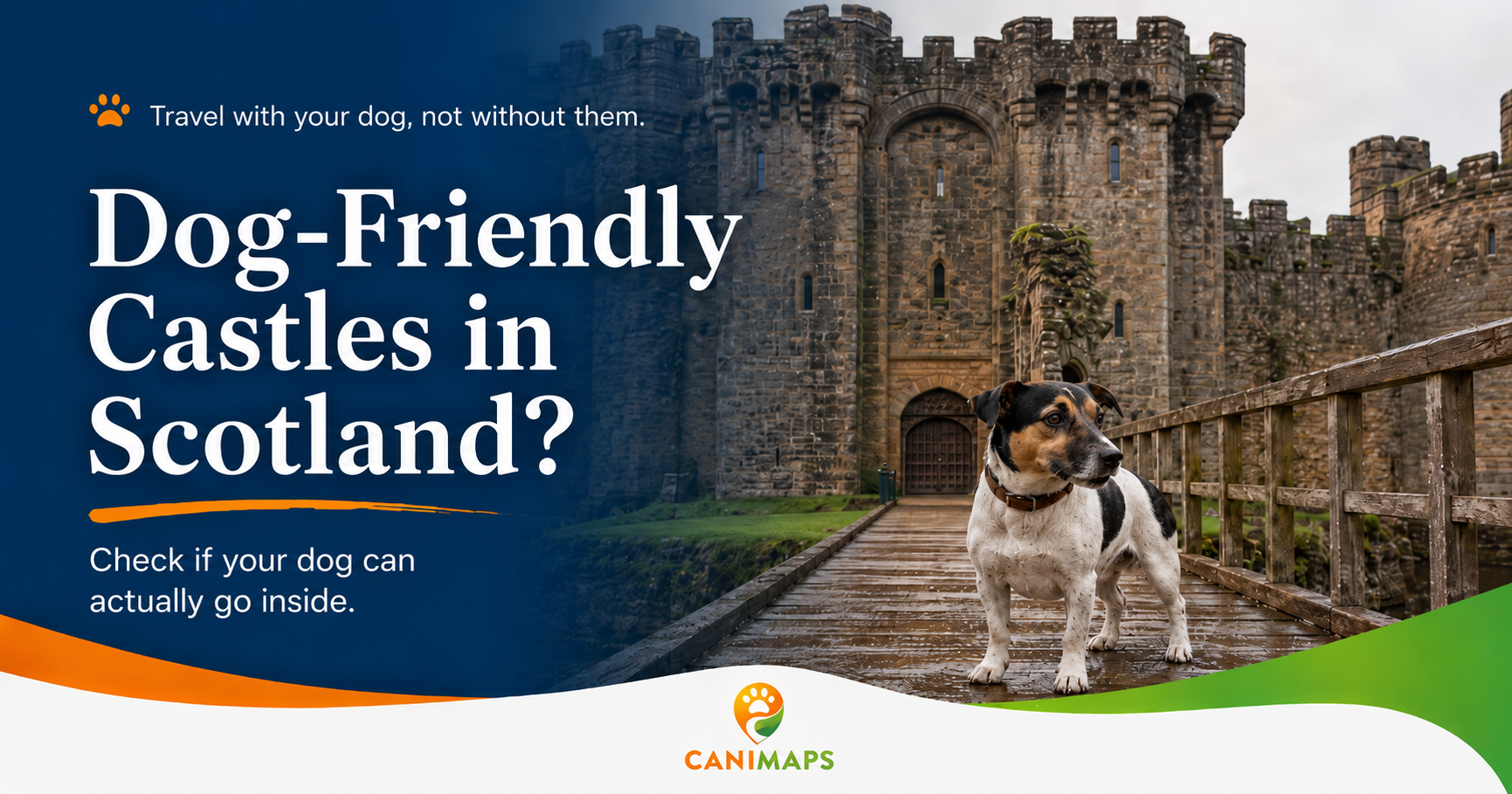 Scotland Castles With a Dog: What “Dog-Friendly” Might Actually Mean?