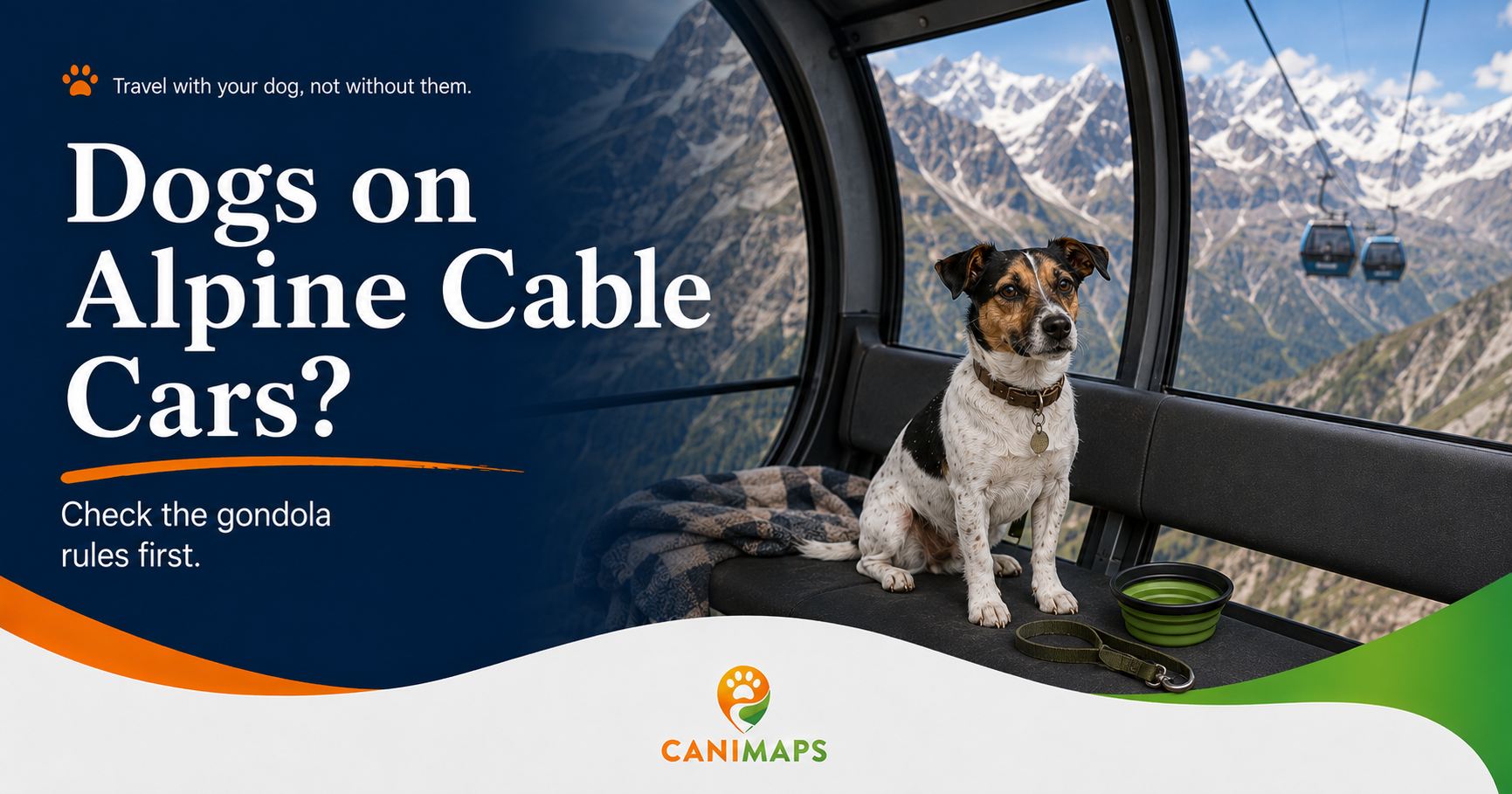 Can Dogs Ride Cable Cars in the Alps? The Gondola Rule Most People Forget