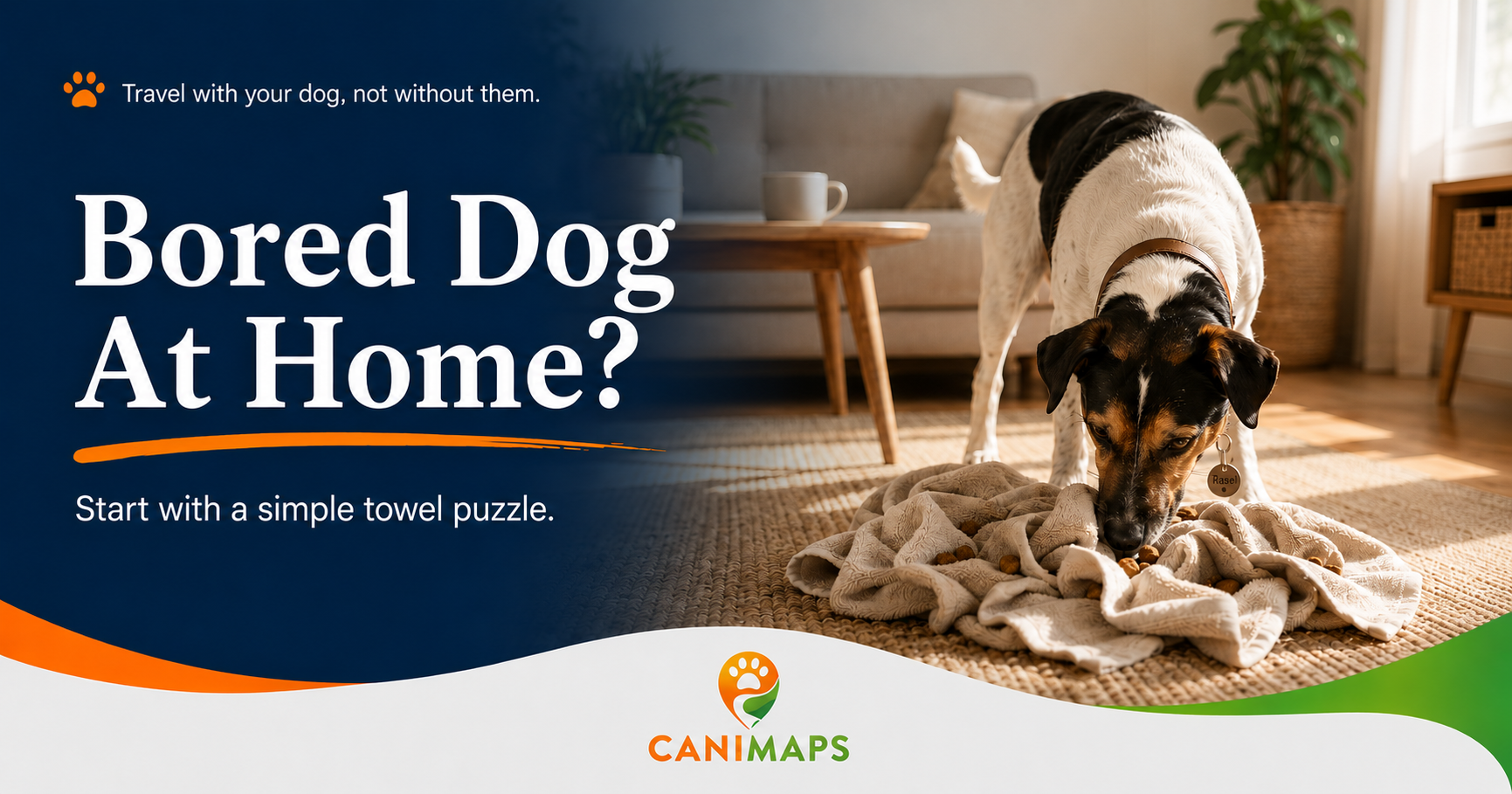 Dog Enrichment Ideas for Bored Dogs at Home
