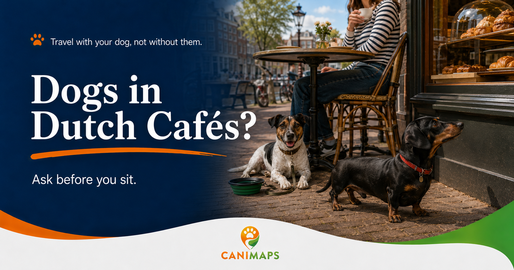 Netherlands Cafés With Dogs: Why “Dogs Welcome” Still Needs a Quick Check