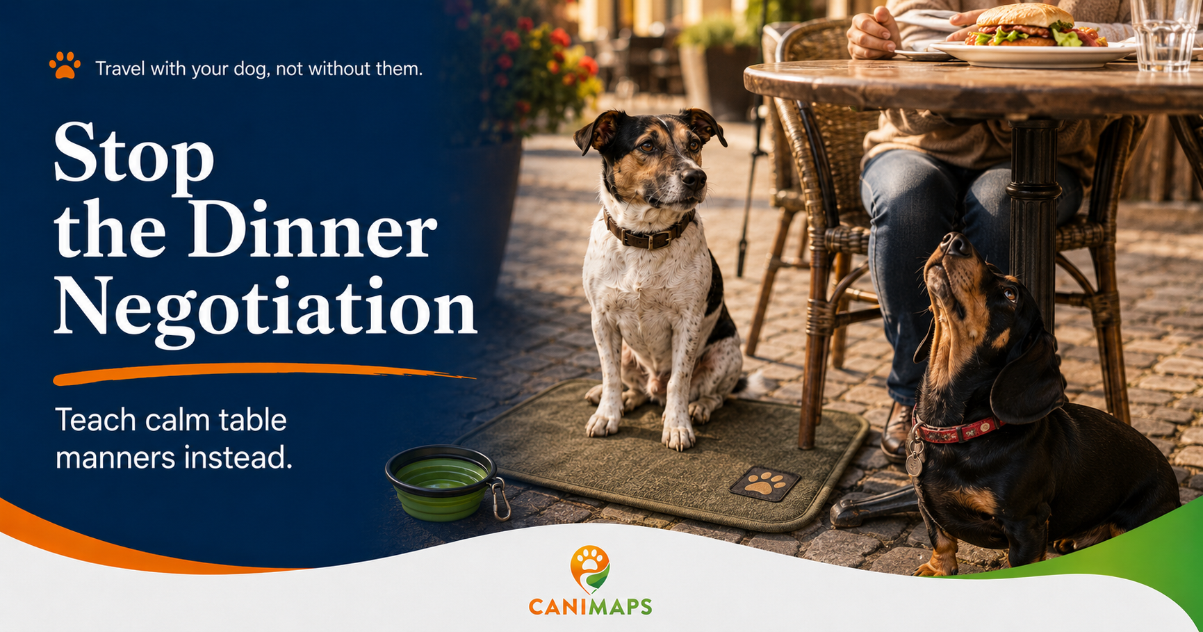 How to Stop Dog Begging Without Being Mean