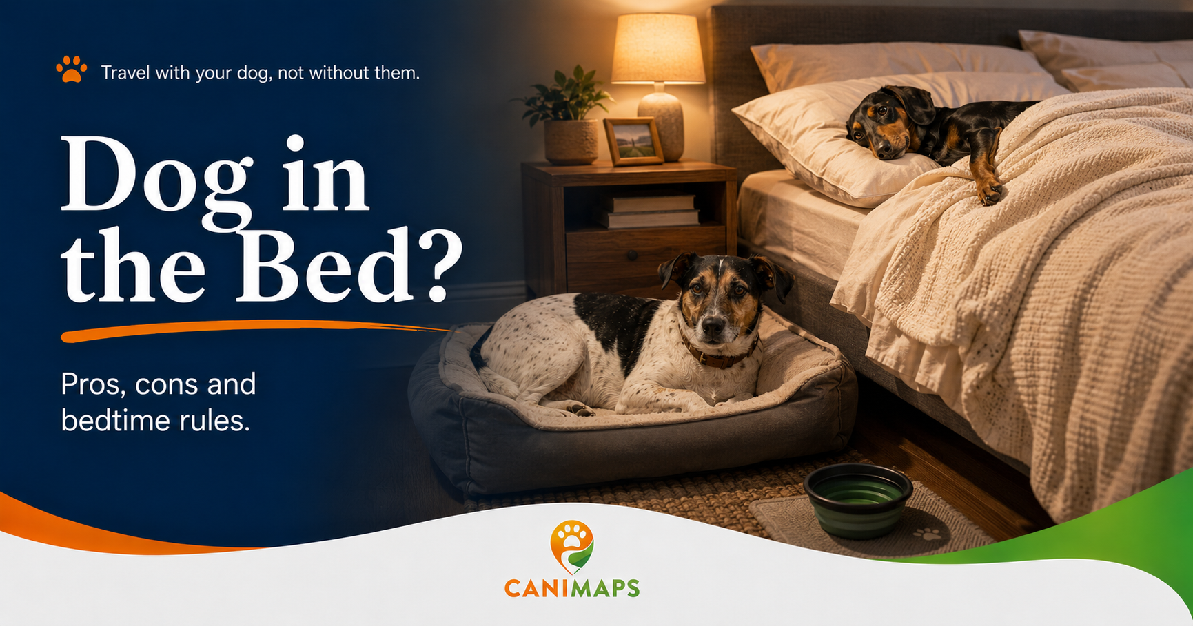Should You Let Your Dog Sleep in Your Bed?