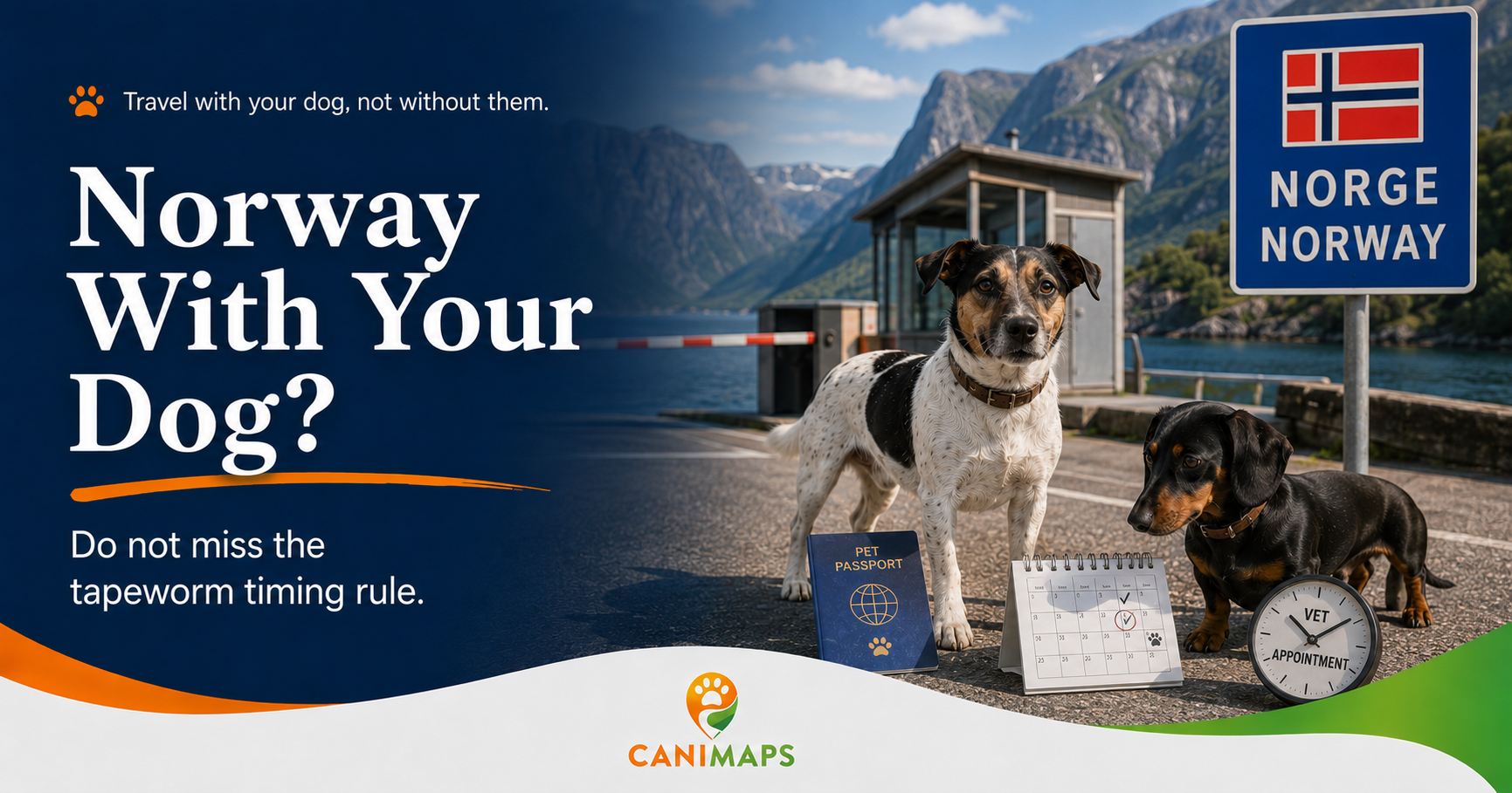 Norway With a Dog: The Tapeworm Timing Trap Before You Cross the Border