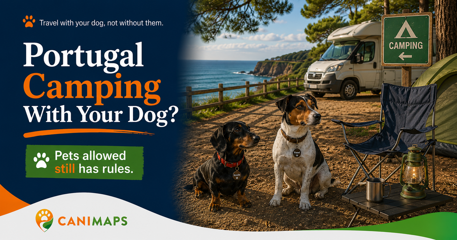 Portugal Campsites With a Dog: What “Pets Allowed” Does Not Tell You