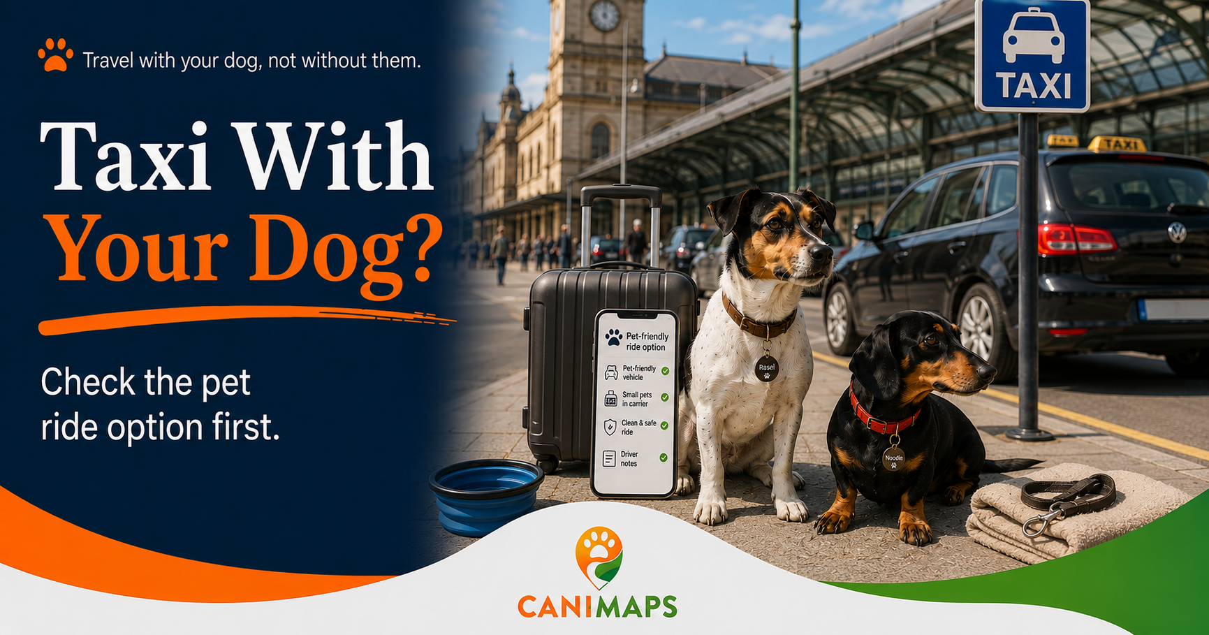 Can You Take a Dog in Uber, Bolt or Taxis in Europe?
