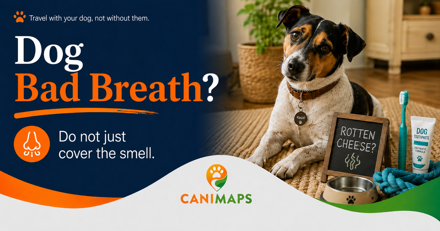 Dog Bad Breath: Normal “Dog Breath” or Vet Warning?