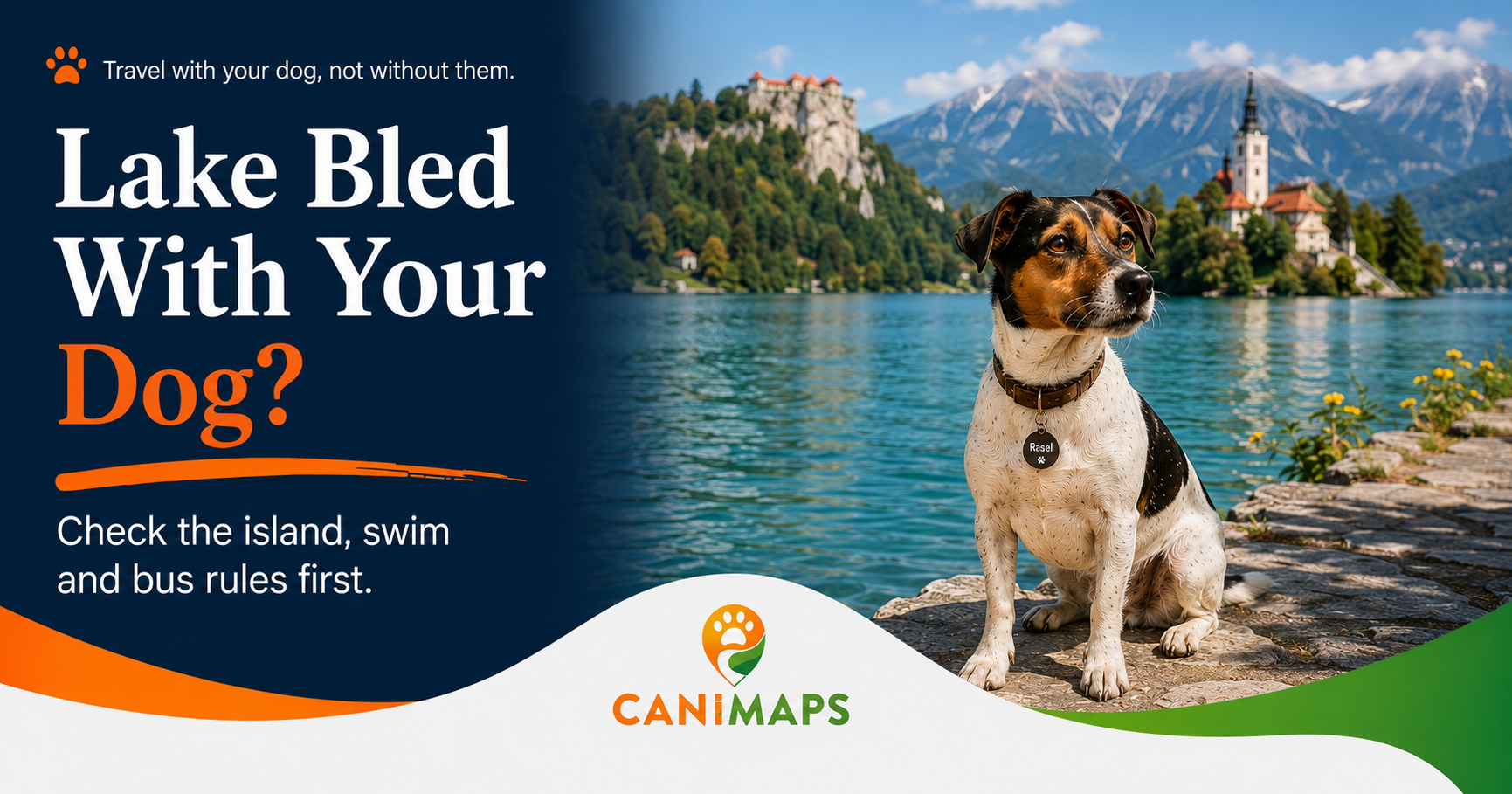 Lake Bled With a Dog: The Island, Swimming and Bus Rules Before You Go