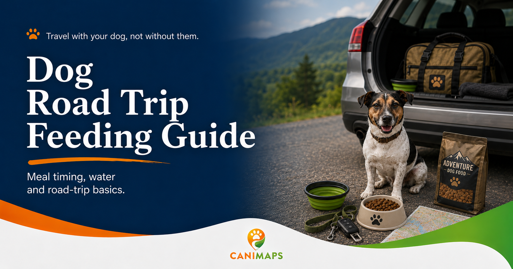 What to Feed Your Dog Before a Long Car Ride?