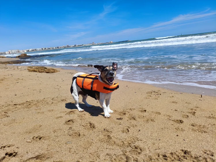 Rasel on the beach