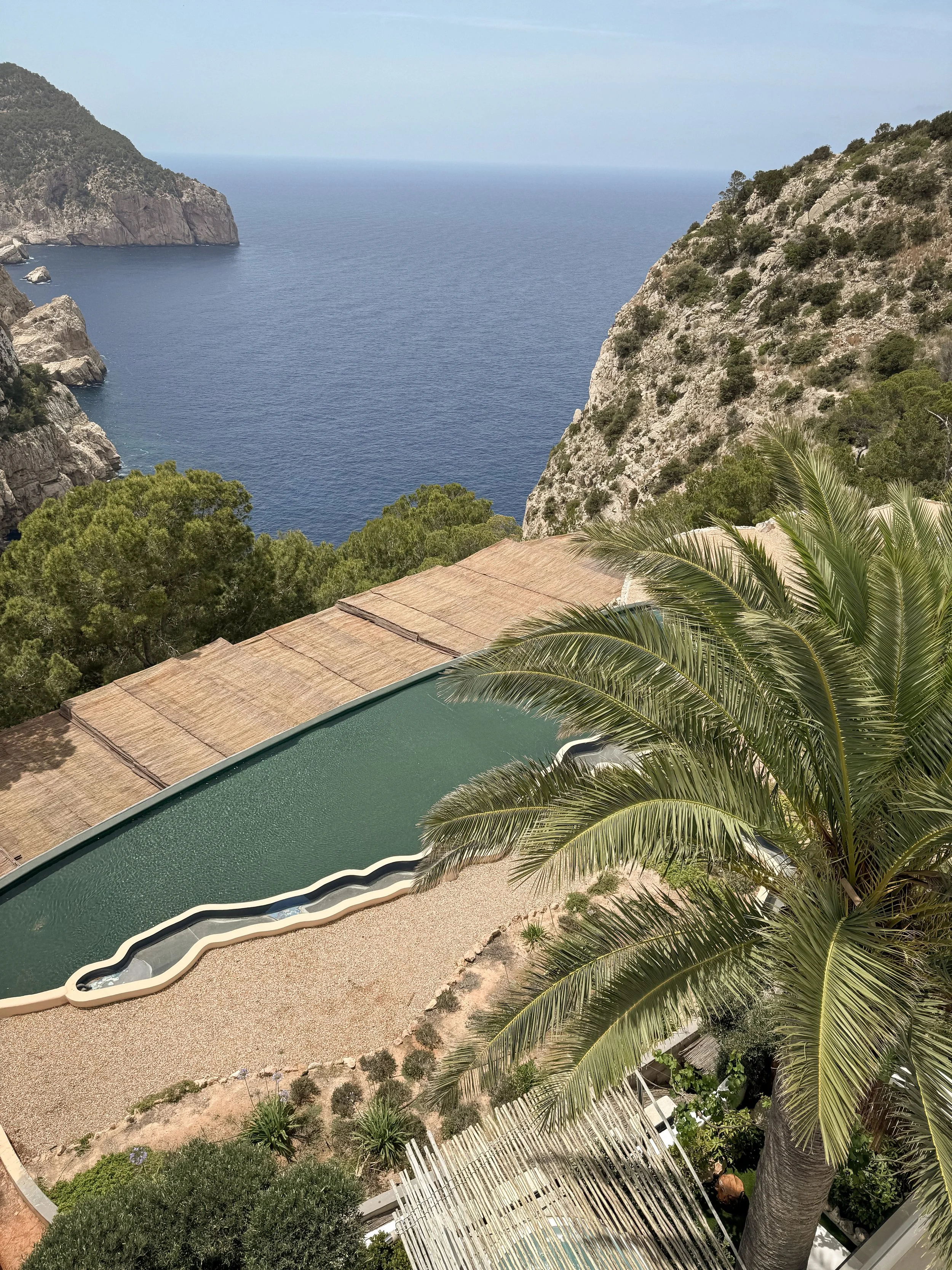 Une vue d'une côte rocheuse avec la mer au fond, un espace de piscine en forme organique, une palme, des arbres et un ciel clair.