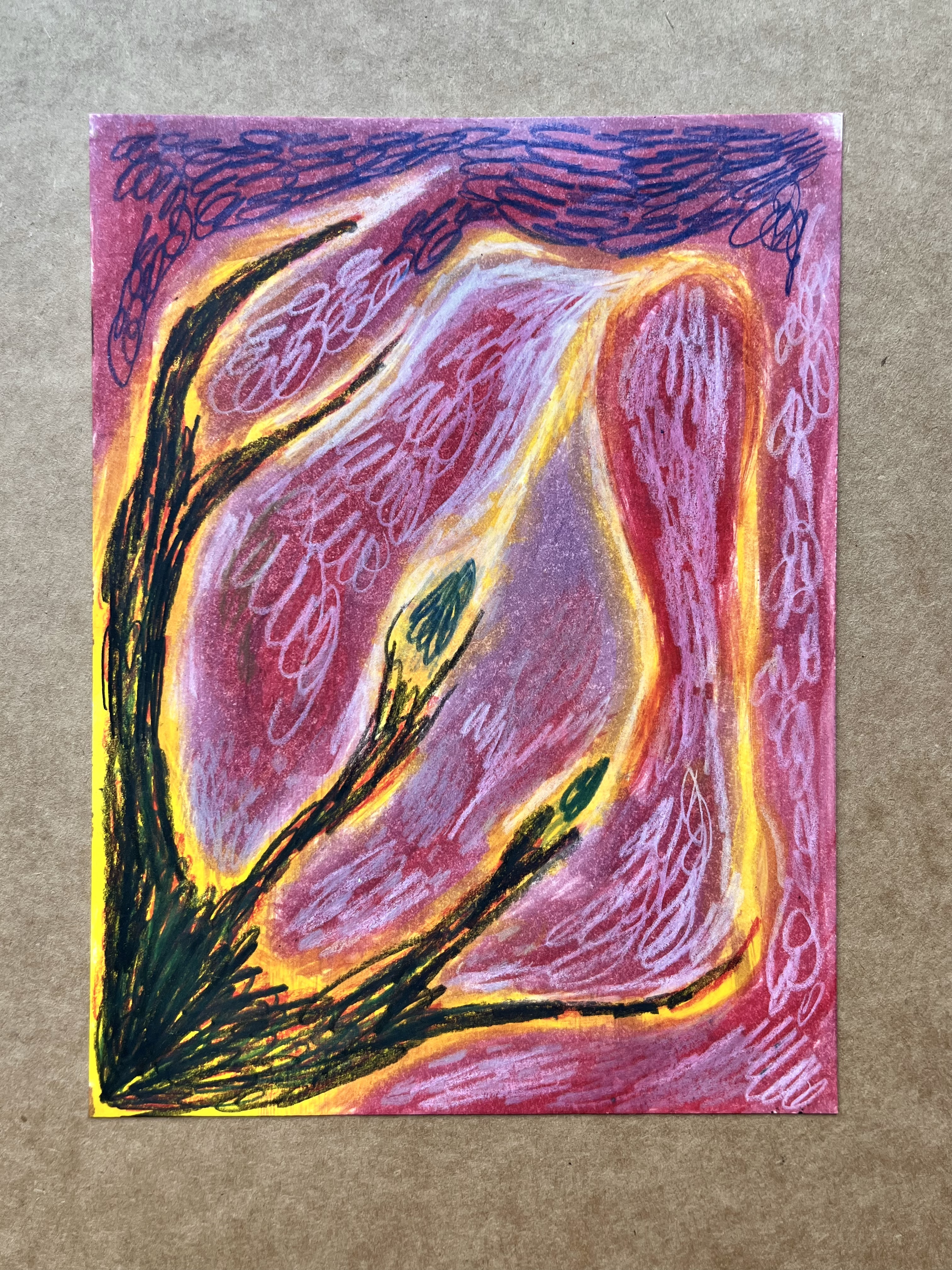 IMG_6811_1.png
