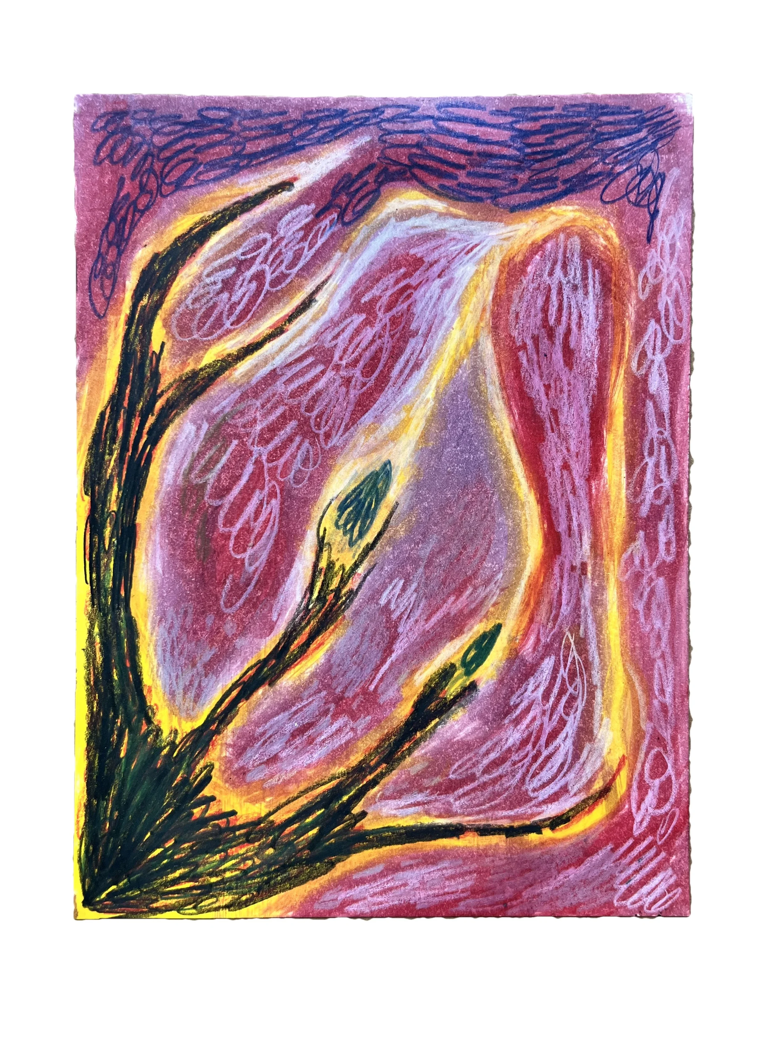 2026 Study – No. 22
