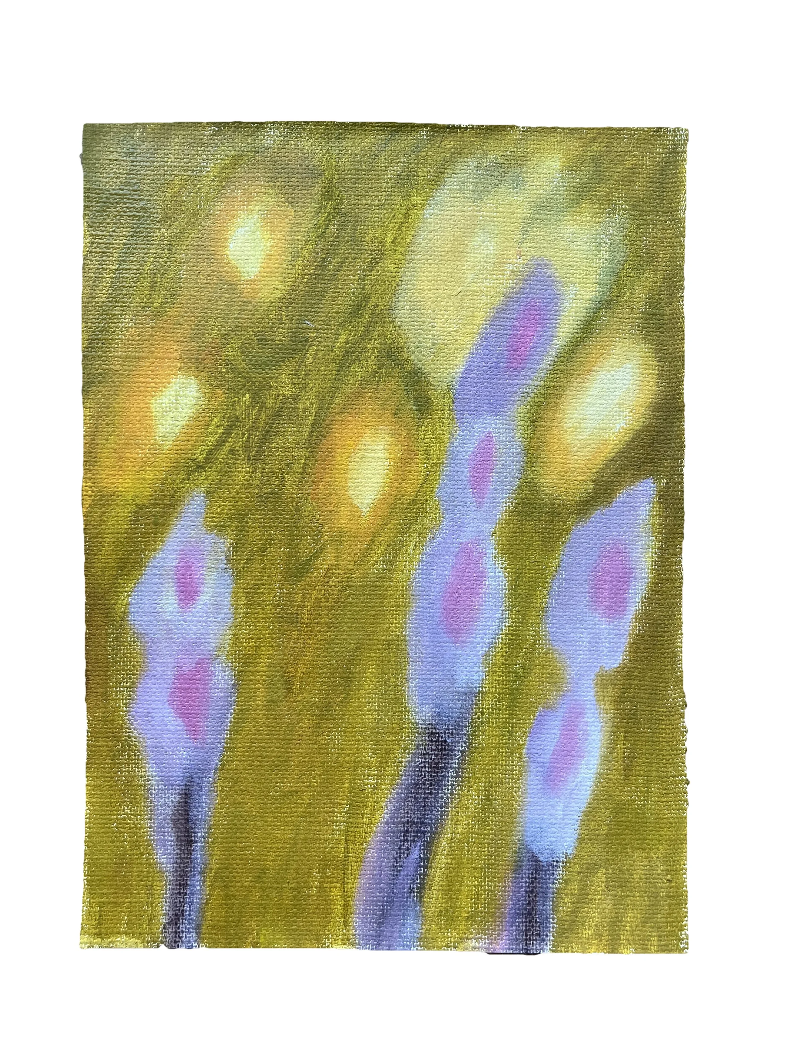 2026 Study – No. 13