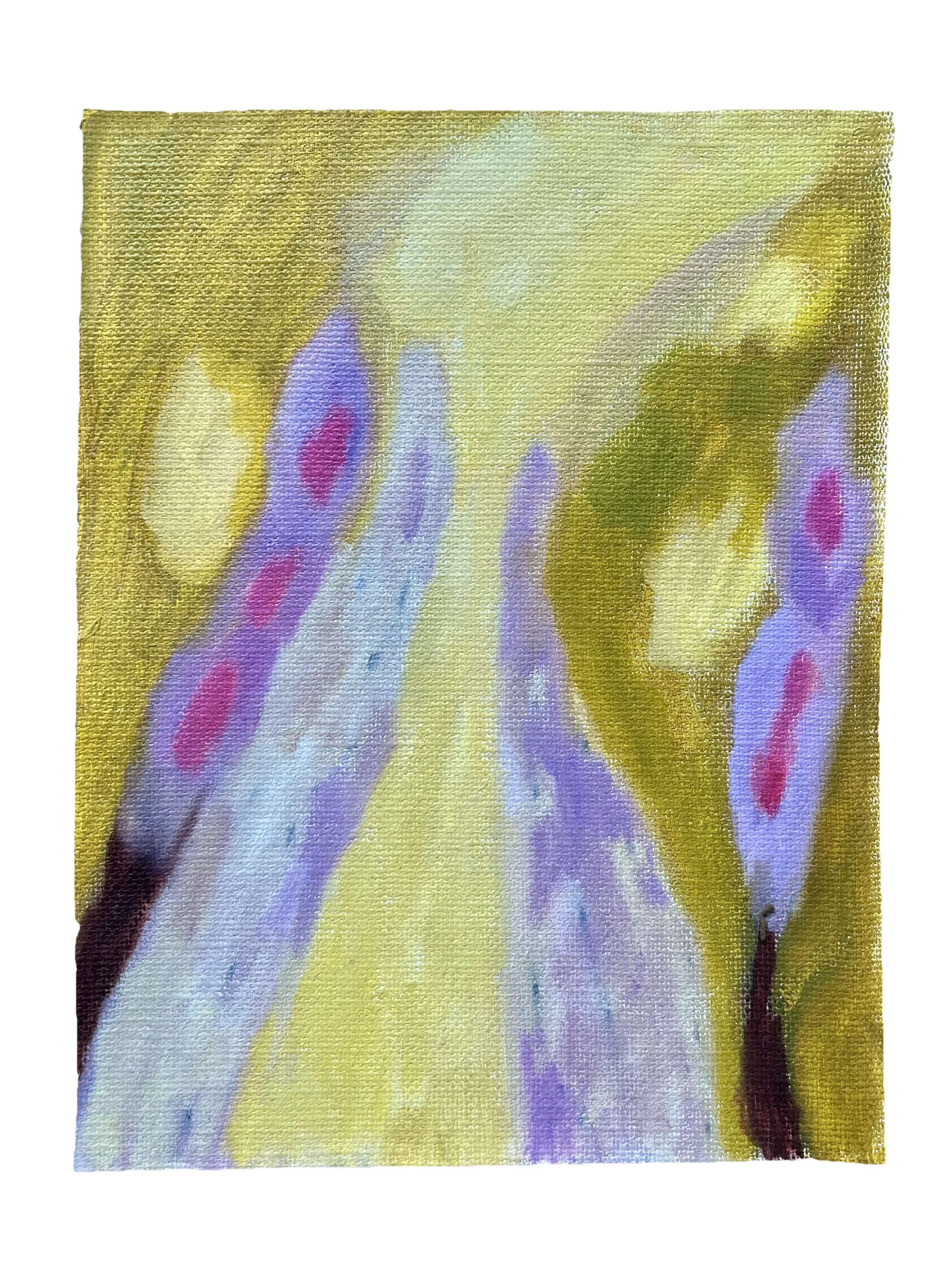 2026 Study – No. 12