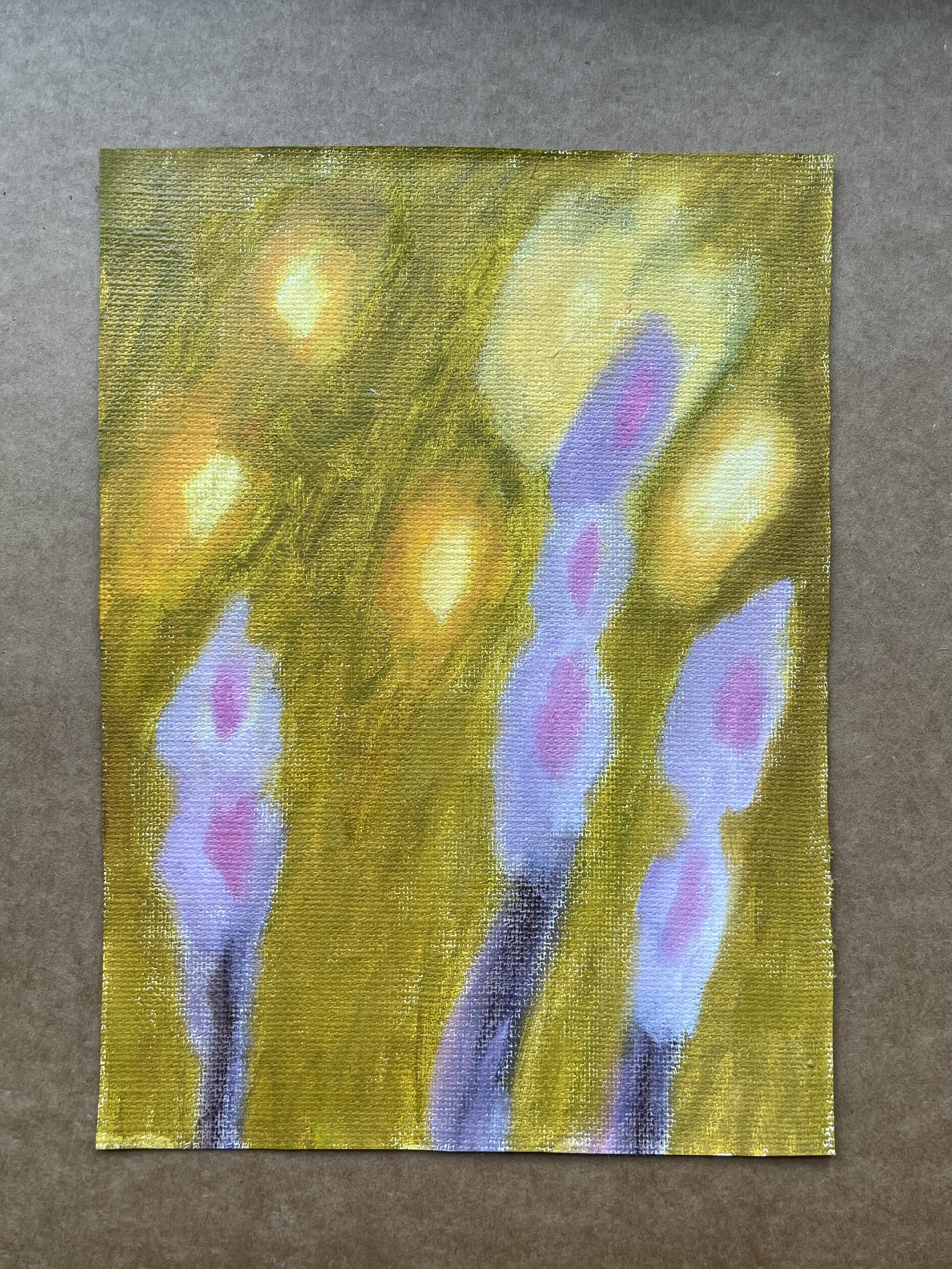 IMG_6803_1.png