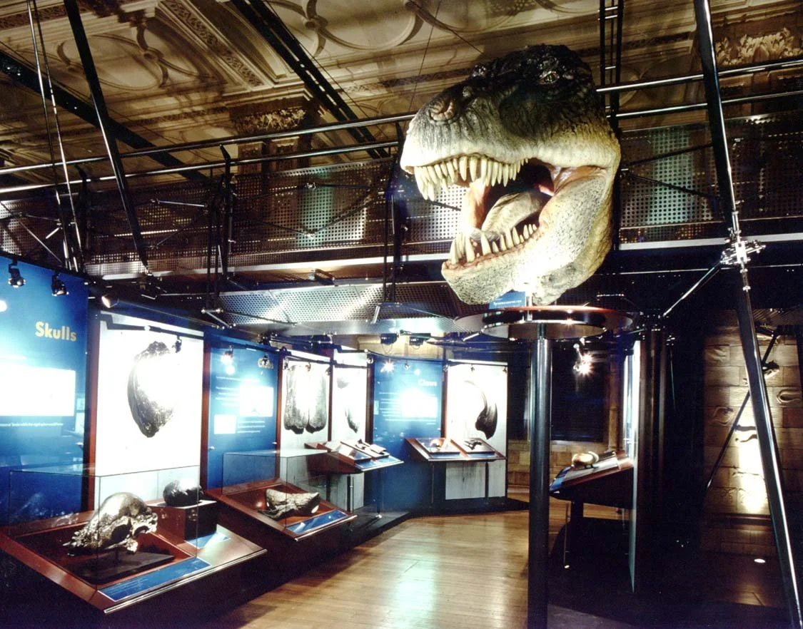 Dinohead.jpg