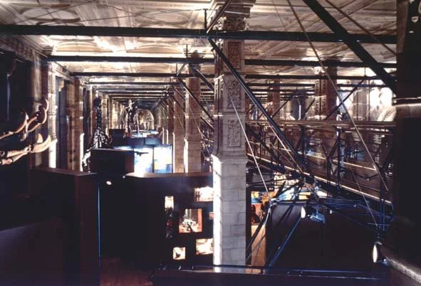 Spine view  32.jpg