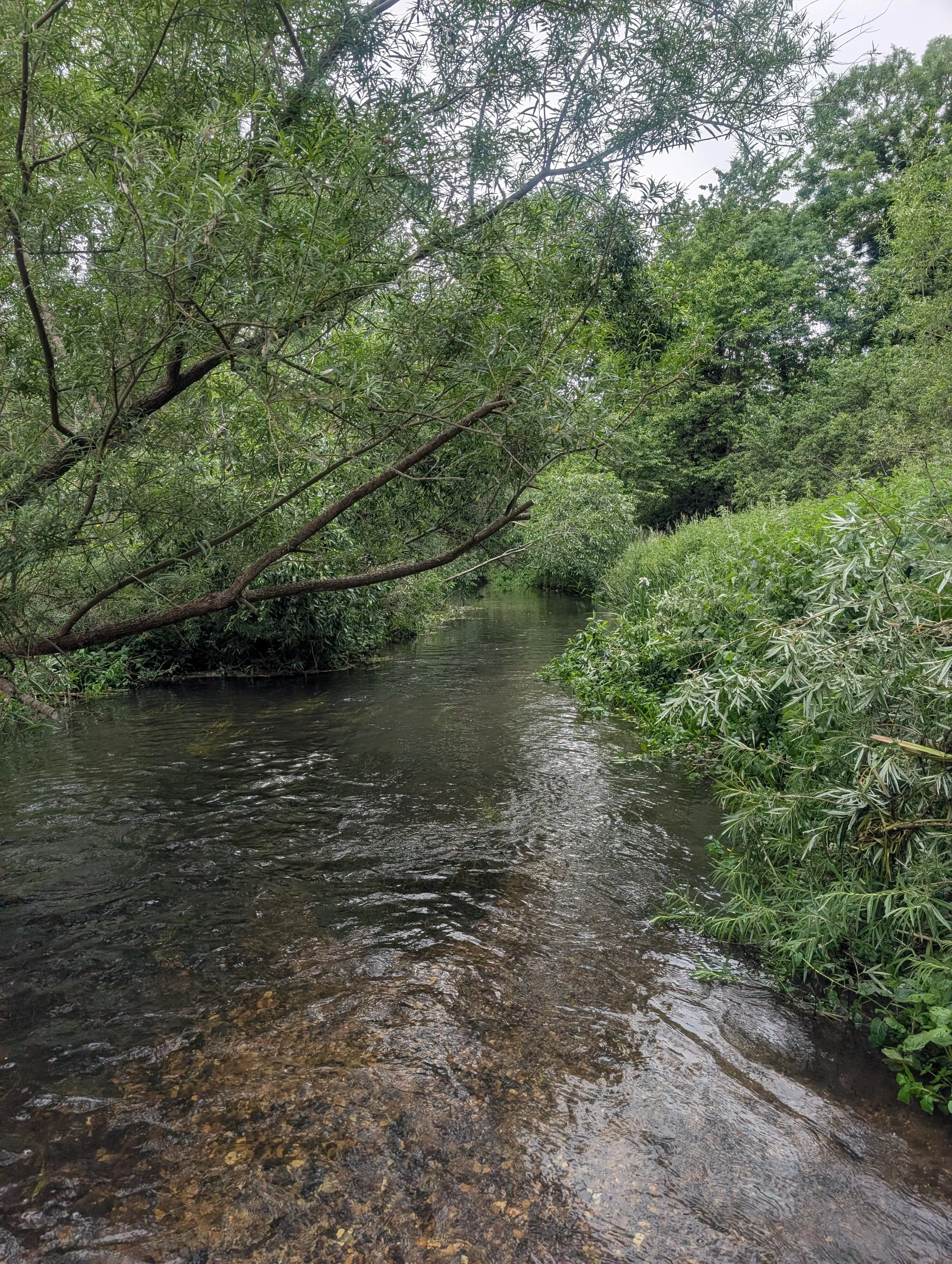 PXL_20260601_165448939.jpg