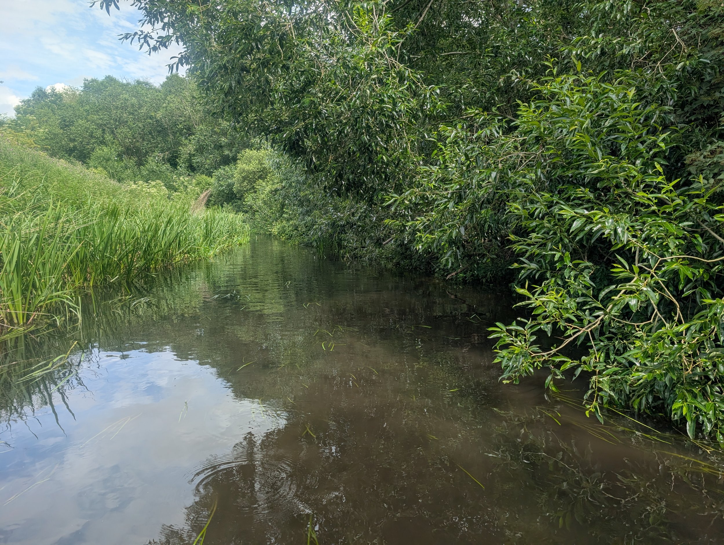 PXL_20260620_134719241.jpg
