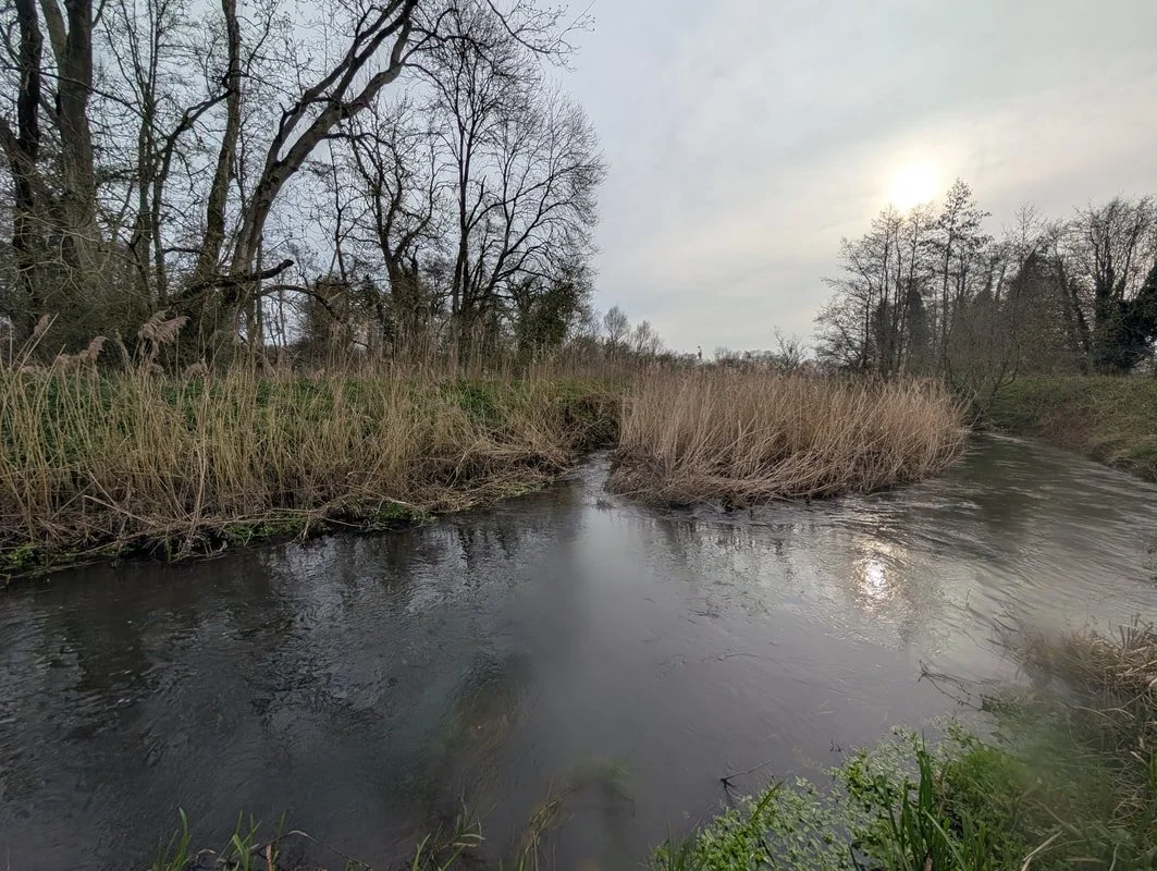 The cleared channel