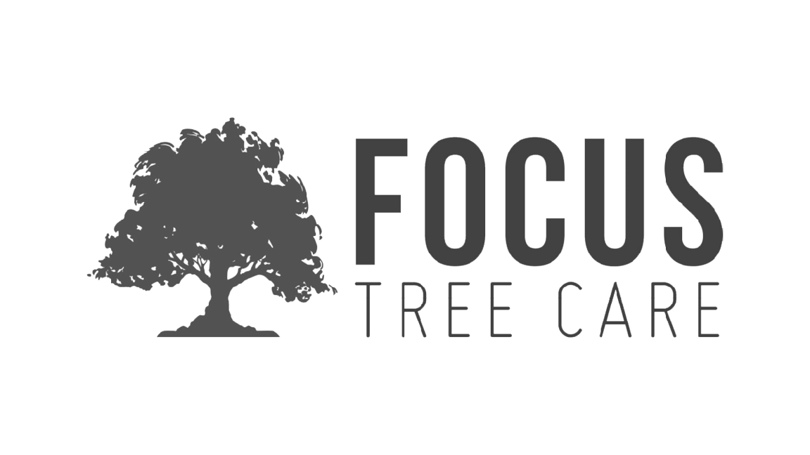 Focus Tree Care Transparent Logo Greyscale.png