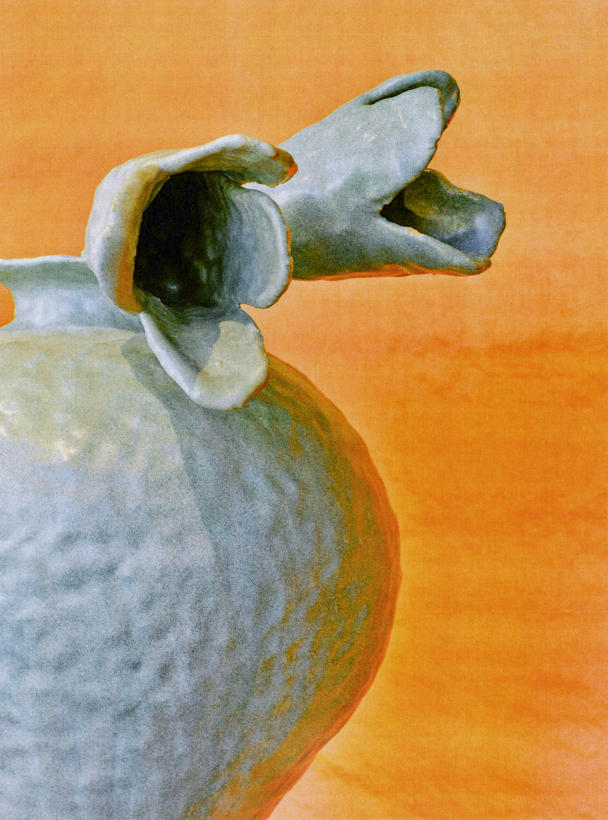 Une fleur blanche avec un centre noir ou foncé, posée sur une surface orange.