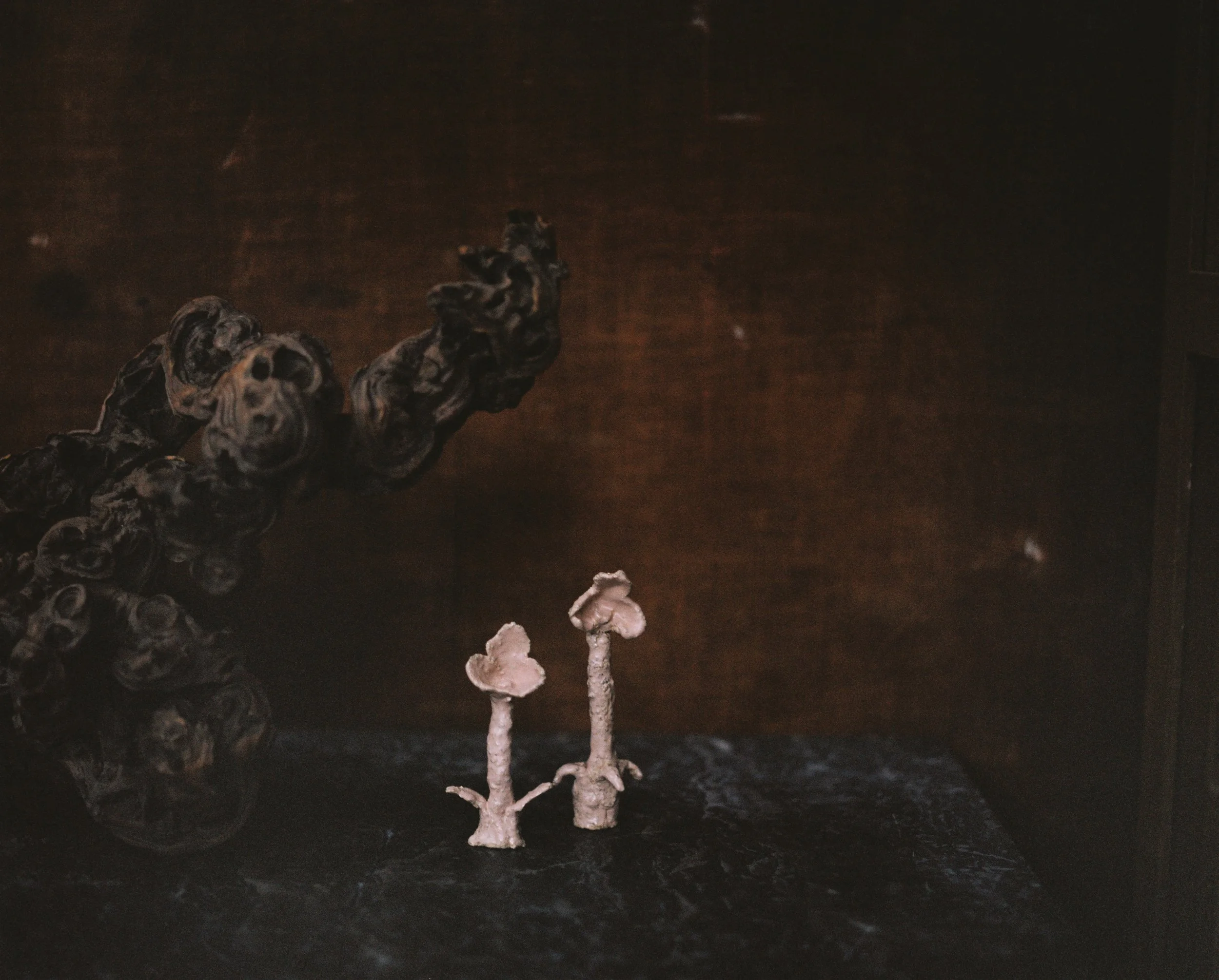Trois petites formations rocheuses blanches en forme d'arbres ou de champignons posées sur une surface noire, avec deux autres formations plus petites devant elles.