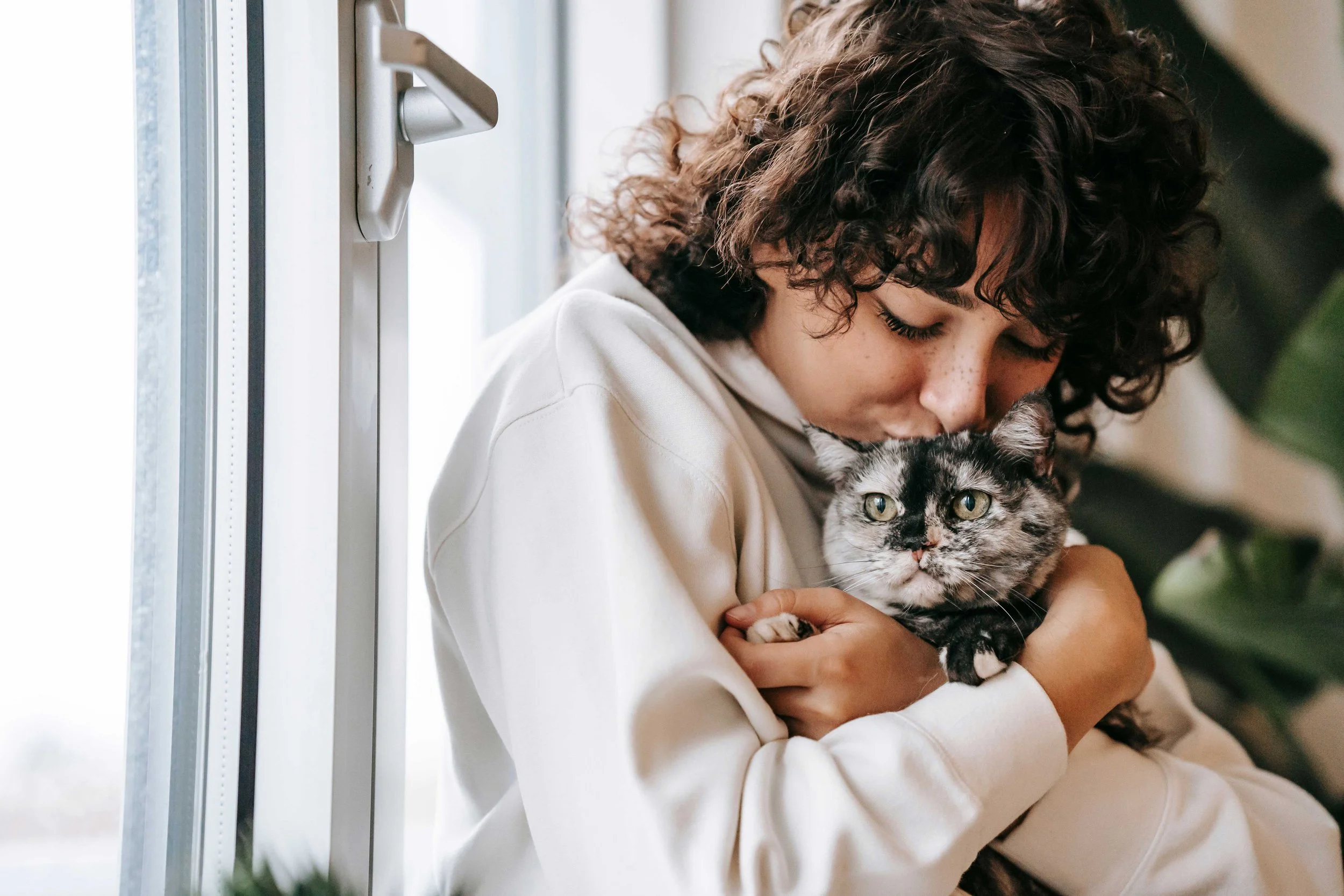 Person cuddling a gray cat by a window, showing comfort, companionship, and the mental health benefits of the human-animal bond.