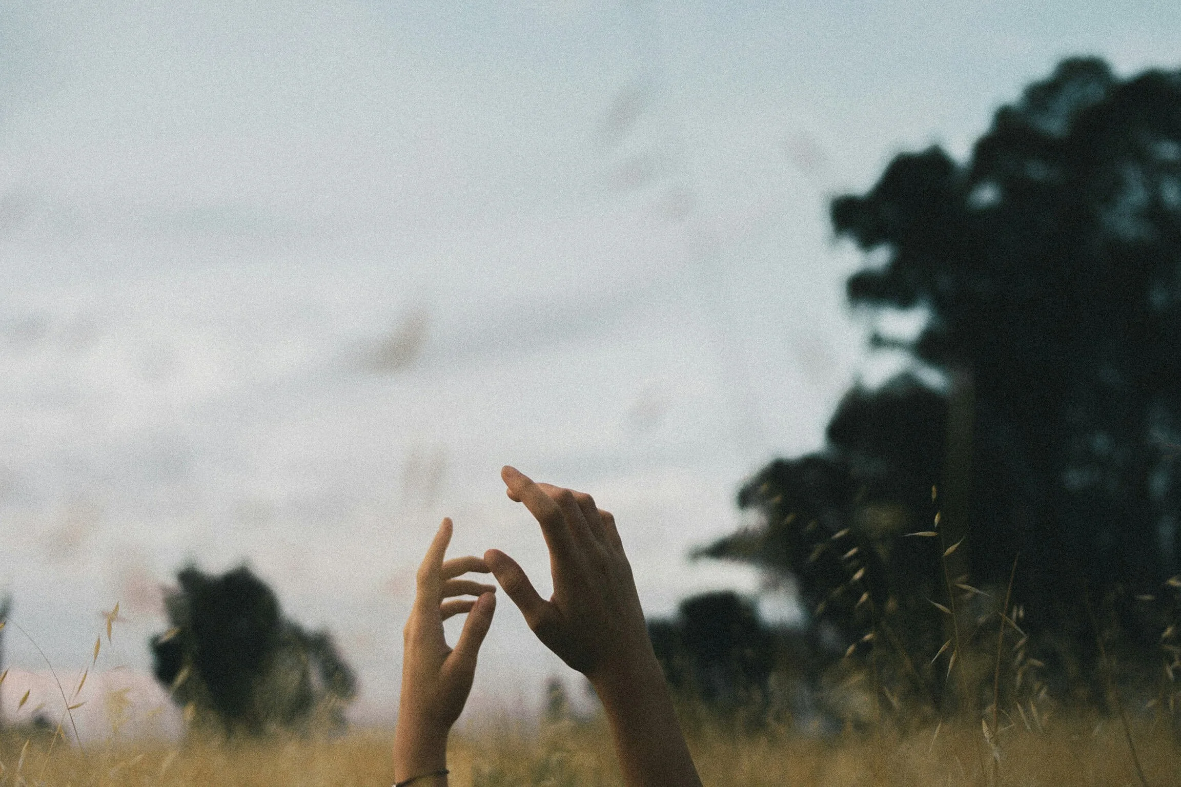 Why Trauma Survivors Often Struggle With Trust