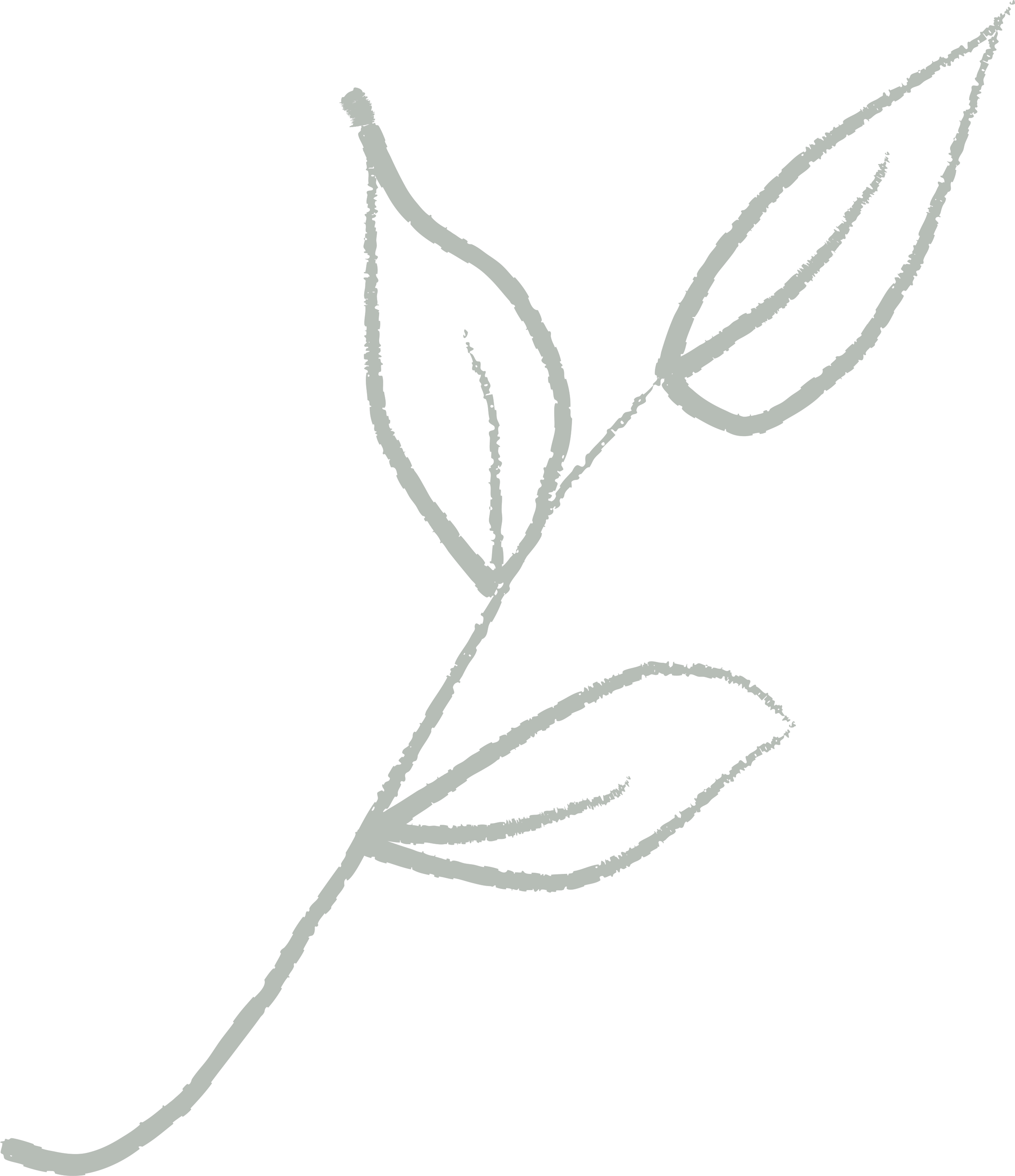 A simple illustration of a stem with a single flower and leaves, drawn with thin, green lines against a black background.