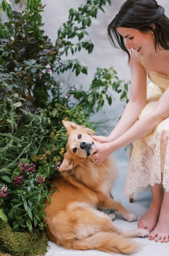 Why You're Grieving Simon: The Psychology Behind Internet Pet Loss