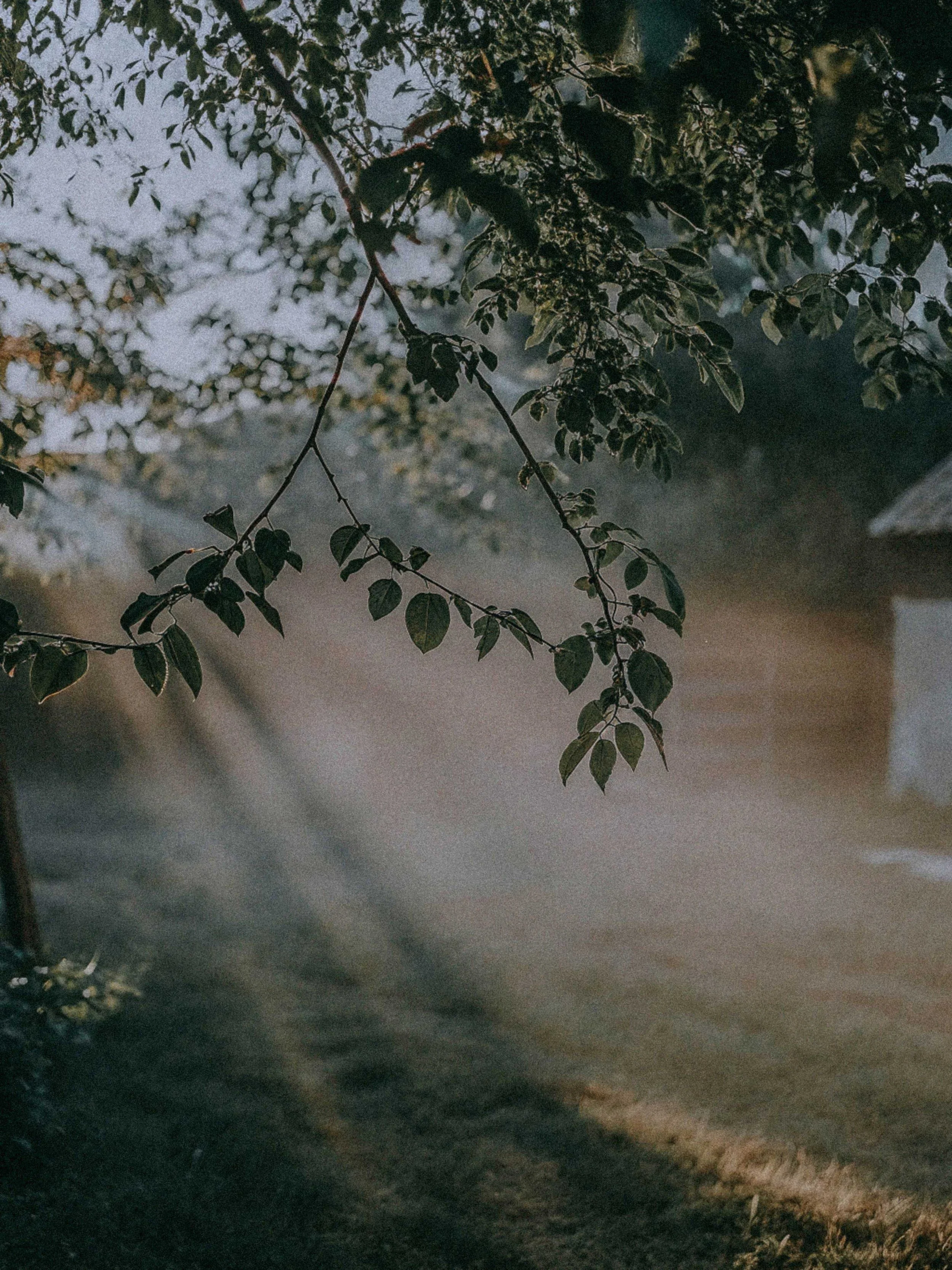How Family Scapegoating Damages Self-Trust (And Ways To Rebuild It)