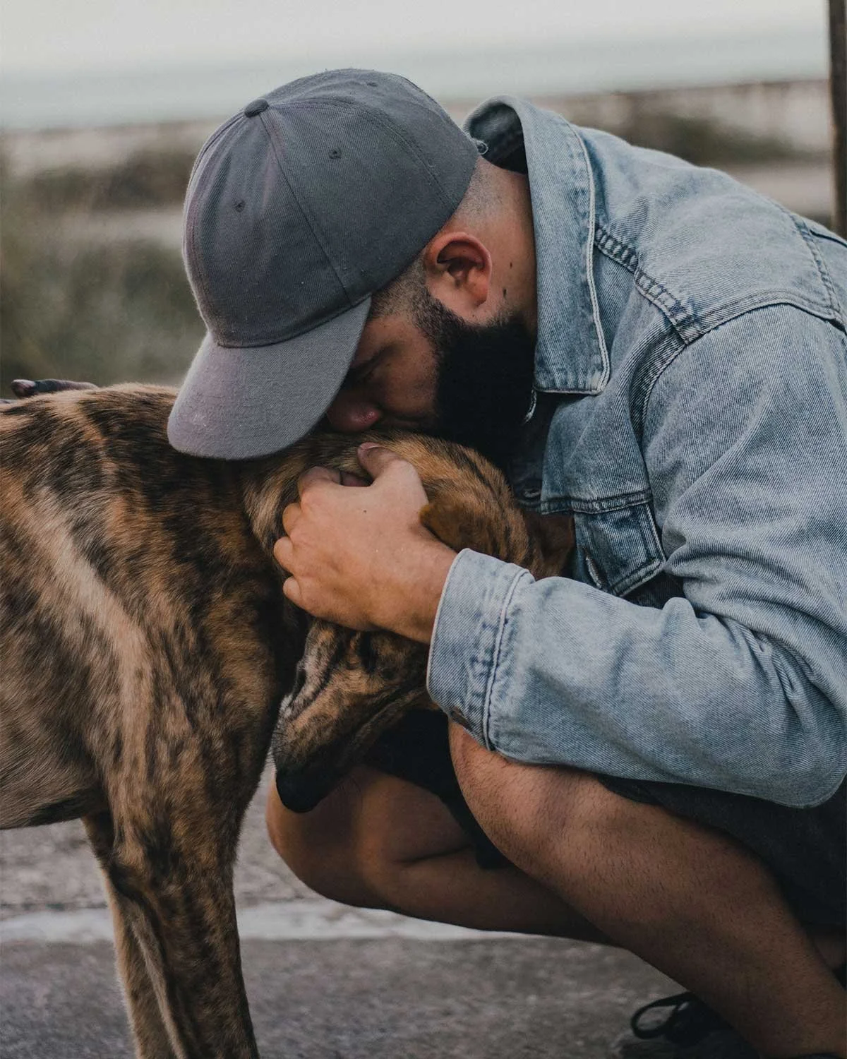 Moral Injury &amp; Service Dogs: New Research on Animal-Assisted Therapy for Veterans