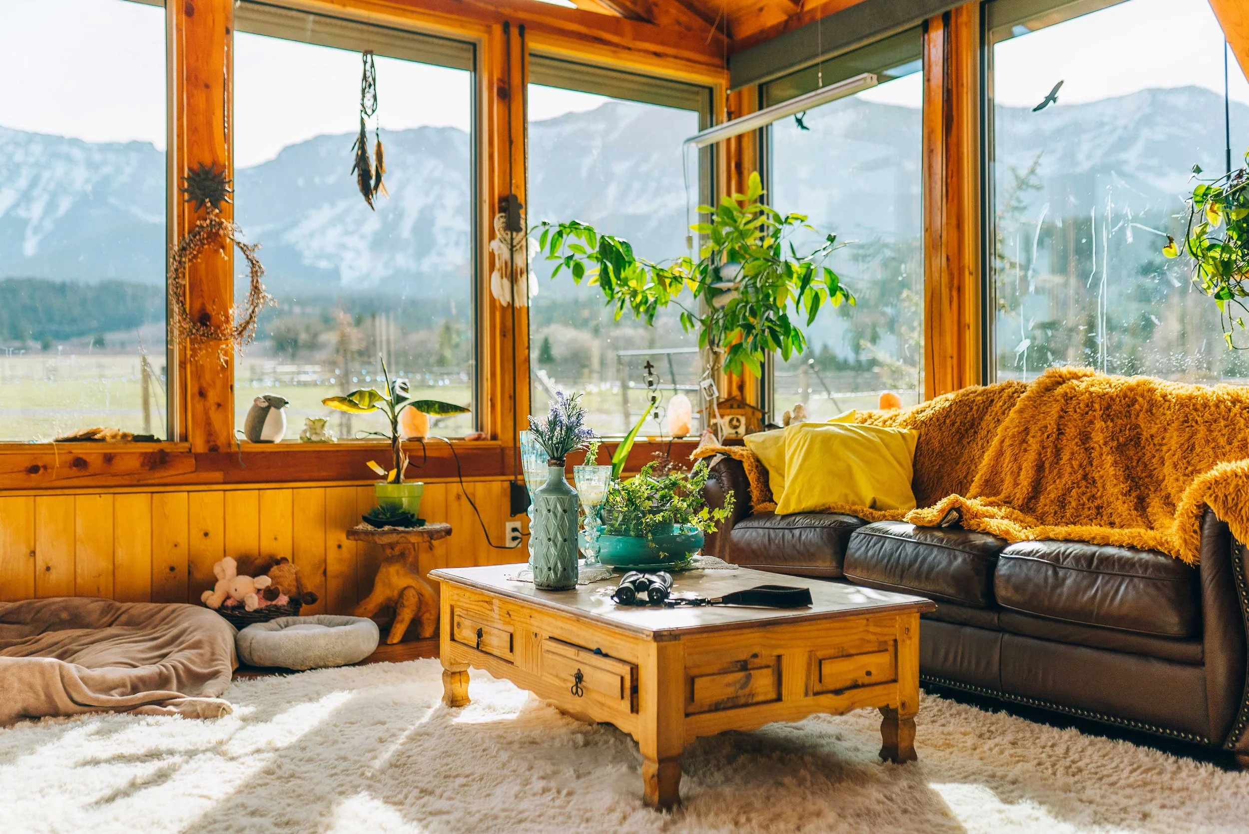 Cozy home interior where someone could comfortably attend online therapy