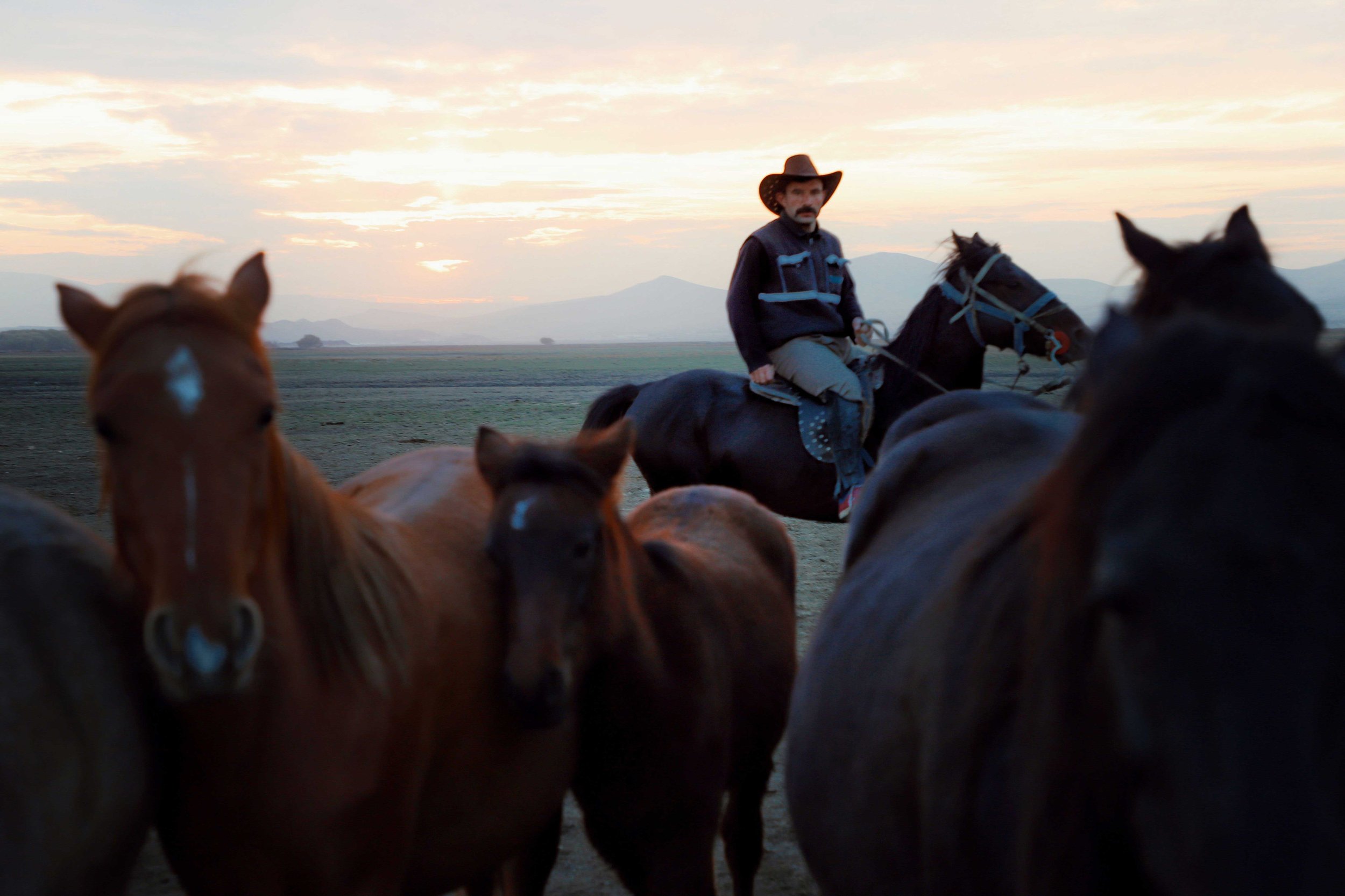 Person riding a horse rounding up horses surrounded by Colorado mountain scenery
