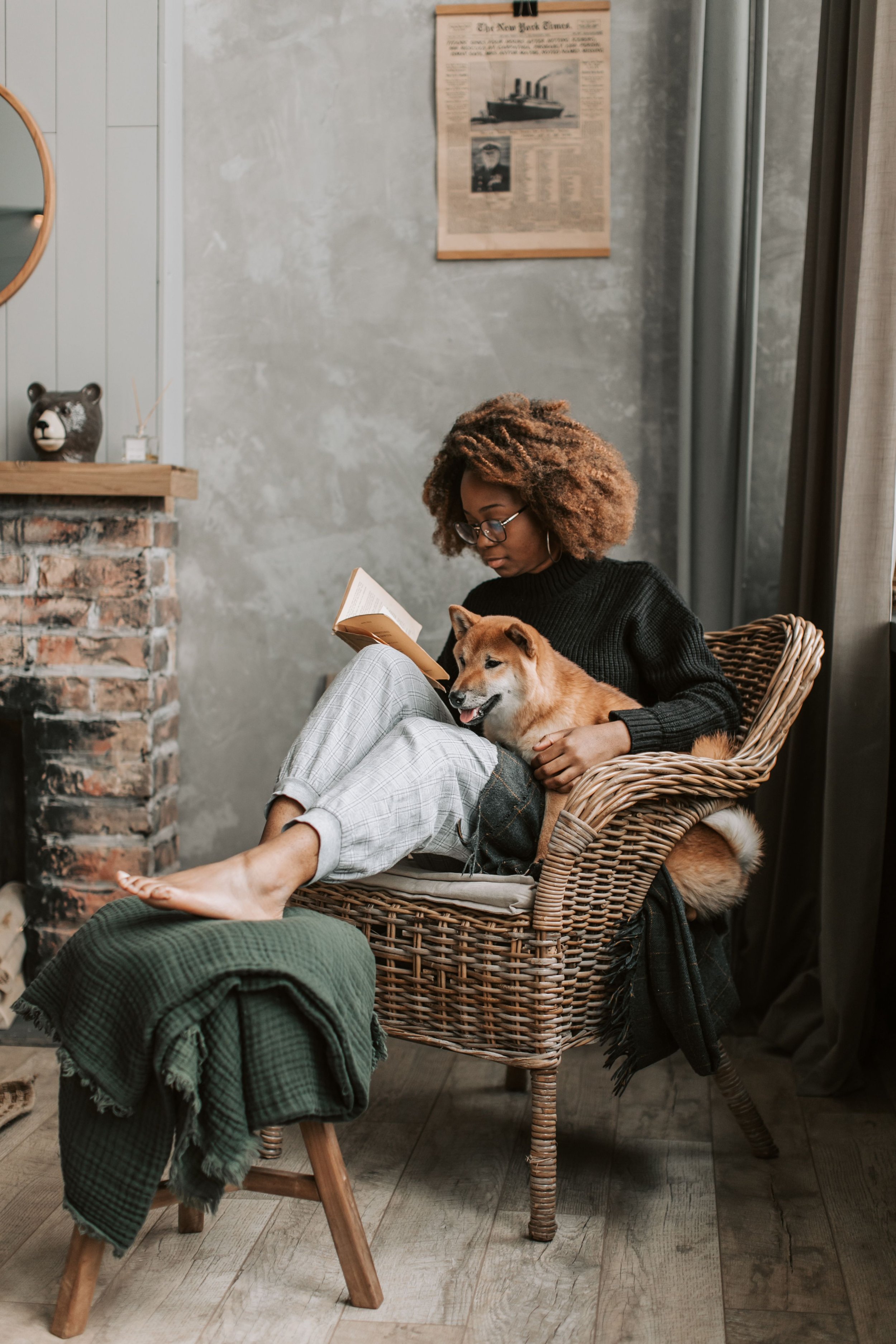 Therapy dog interacting with a client outdoors, representing emotional growth, attachment, and healing through the human-animal bond.