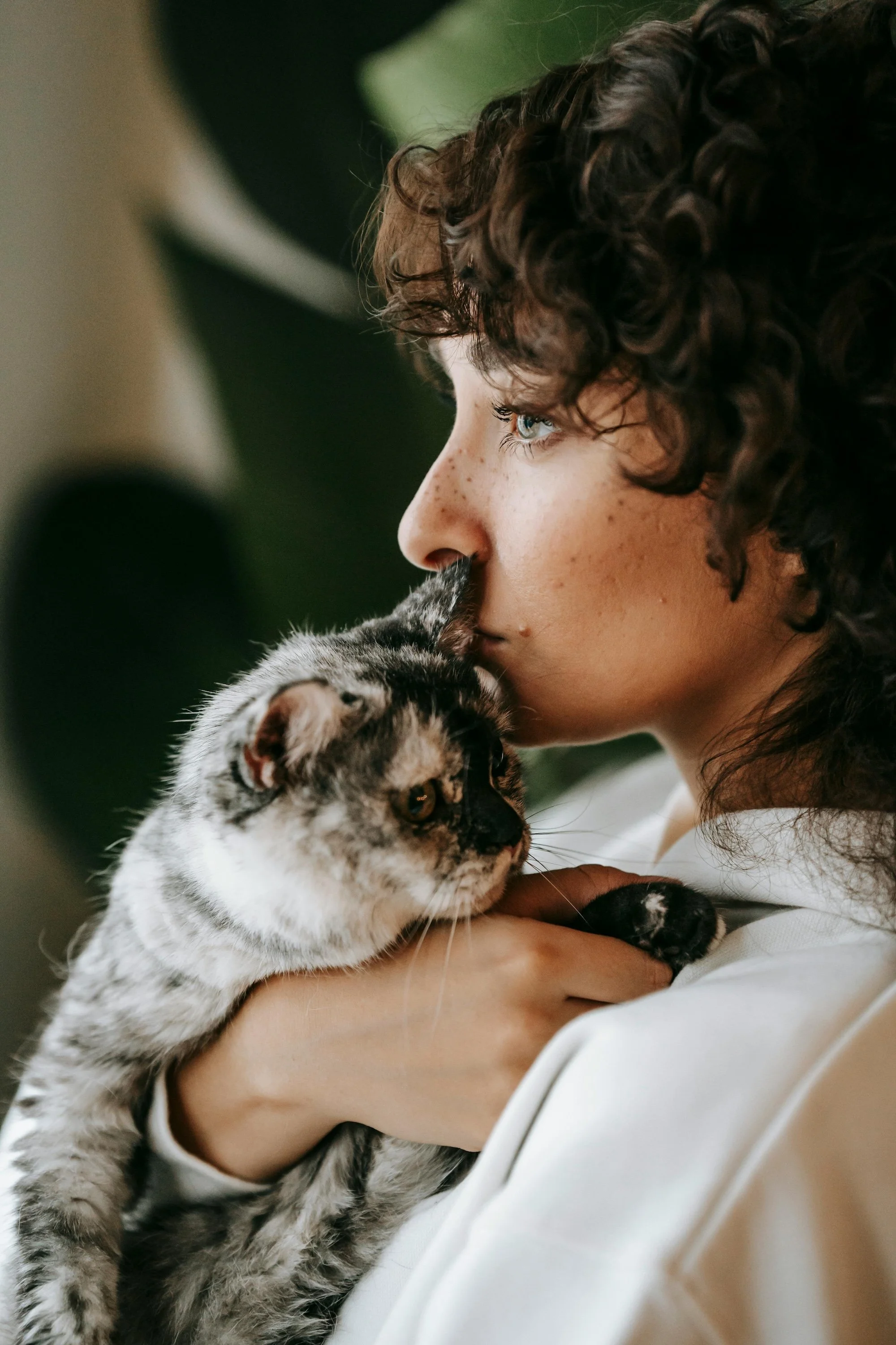 A person with curly brown hair and blue eyes nuzzles a young tabby cat with a mix of gray, black, and white fur.