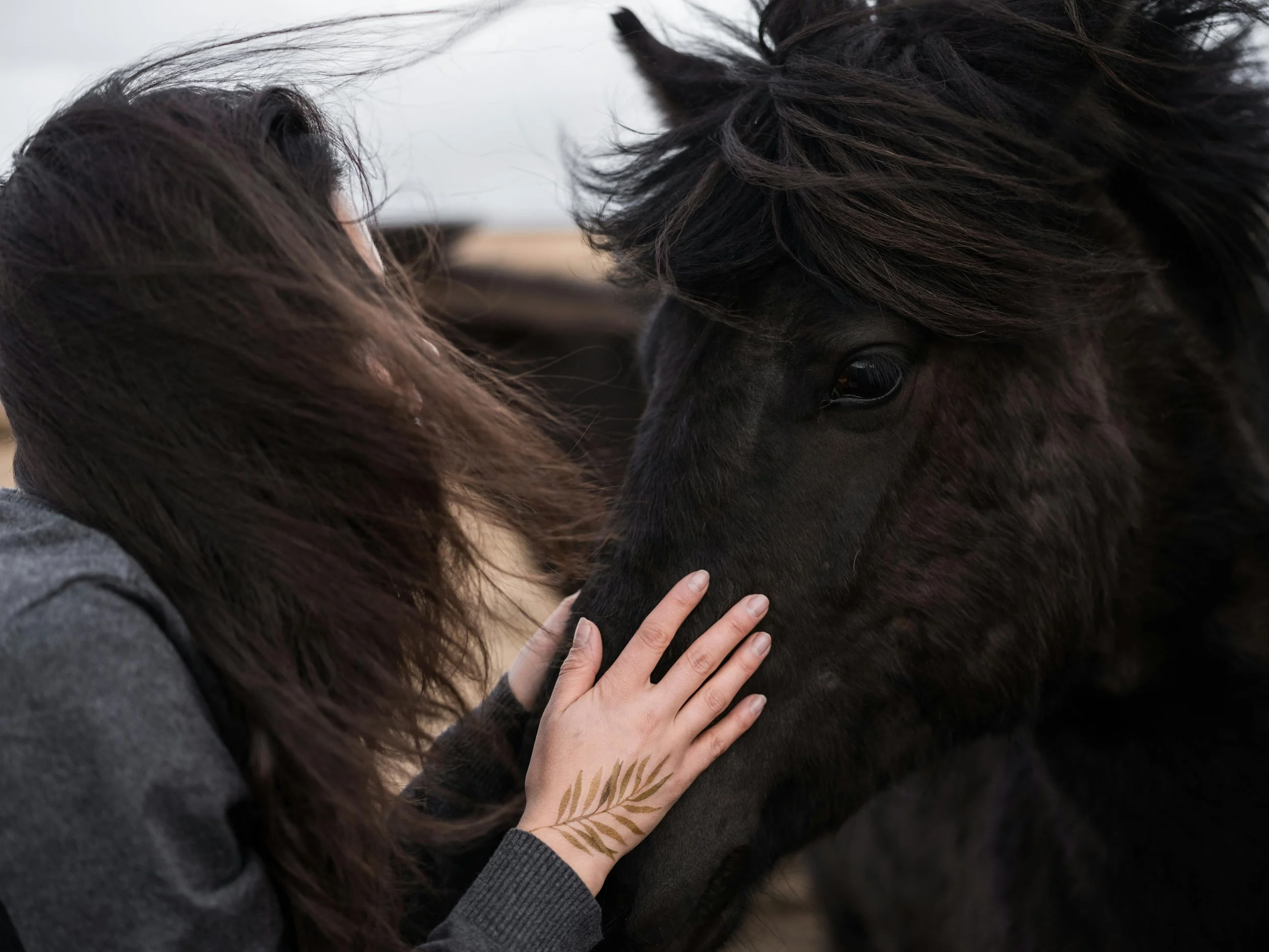 A person wearing a gray sweater touching the face of a black horse with a long mane. The person has a tattoo of a leaf on their wrist.