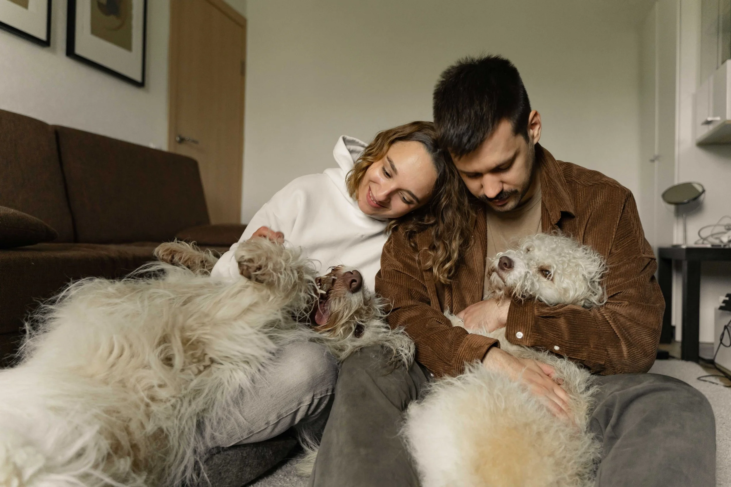 A man and woman sitting on the floor in their living room cuddling their two wirey-haired dogs
