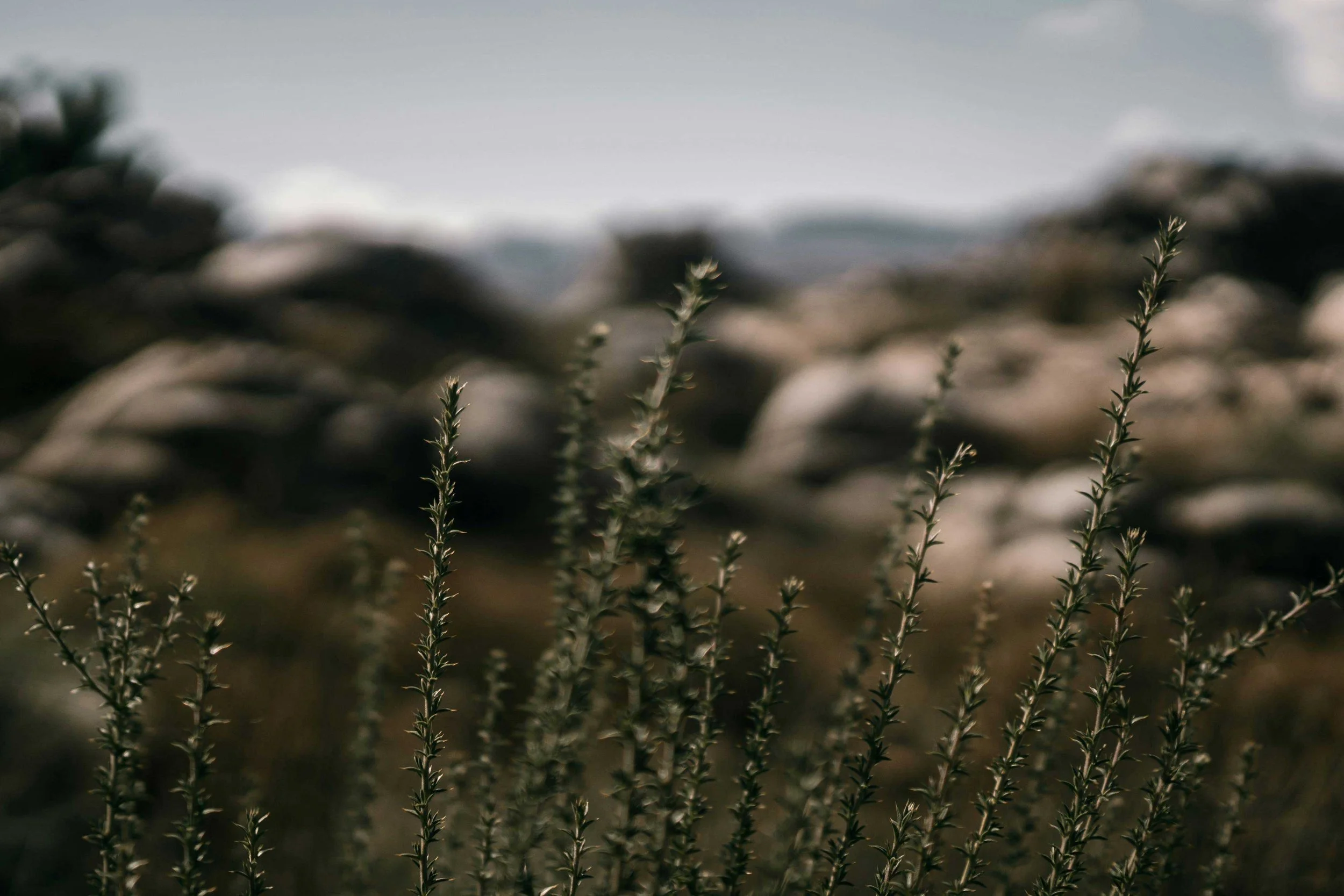 pexels-taryn-elliott-8096678.jpg
