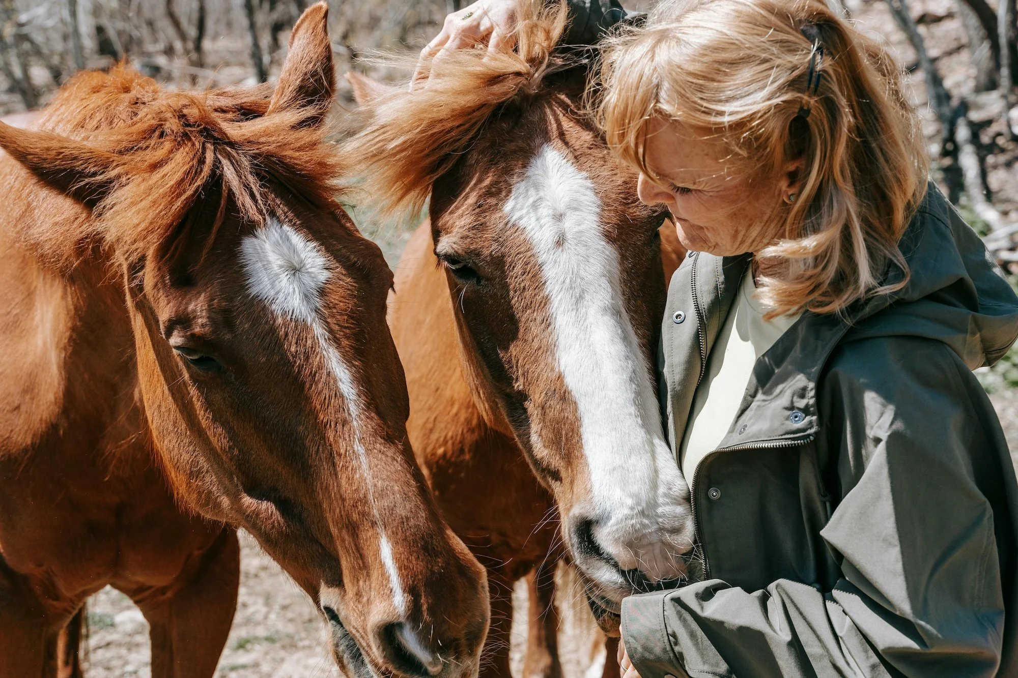 A woman with blonde hair in pigtails gently petting two horses outdoors on a sunny day.