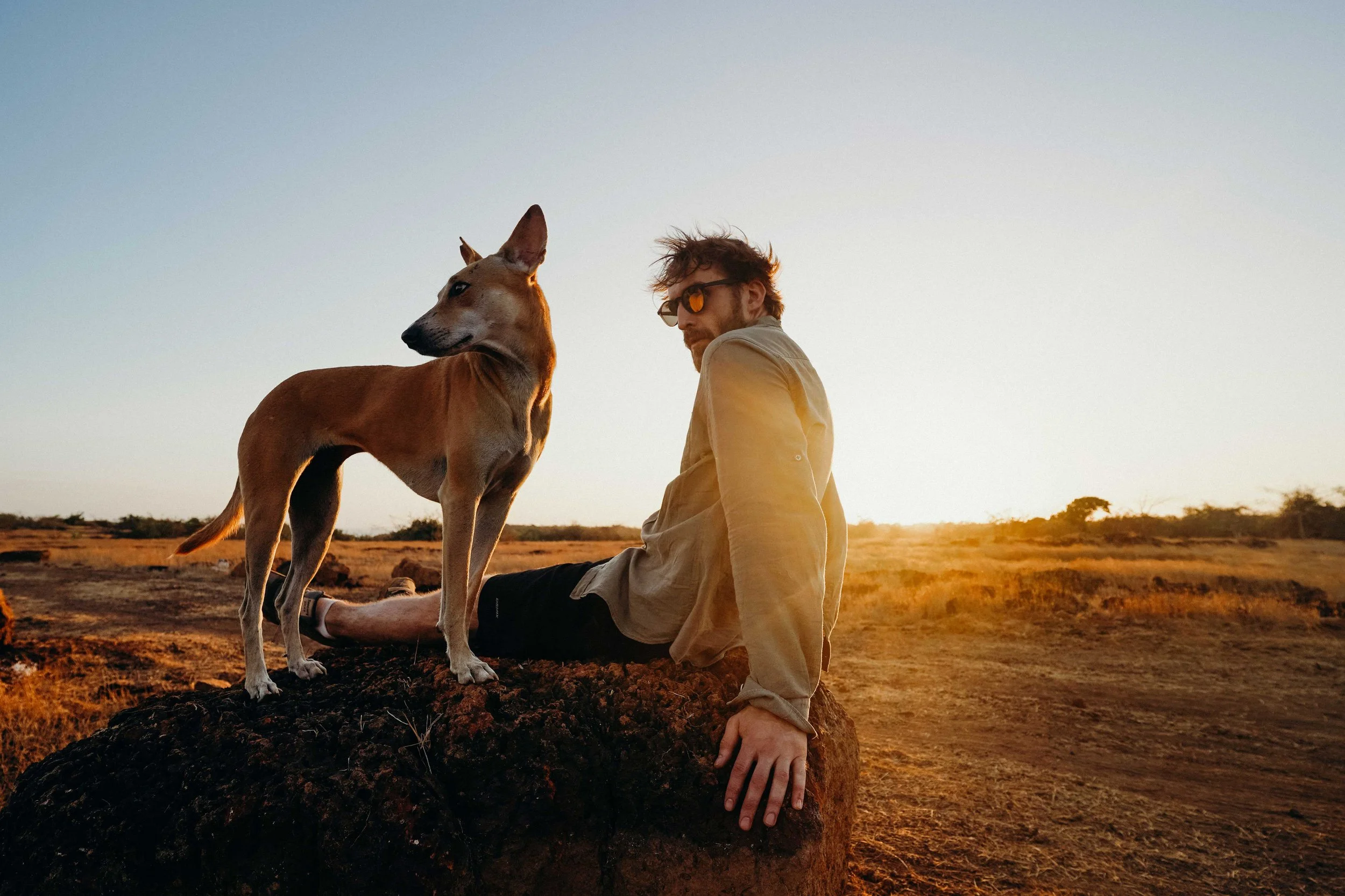Person sitting outdoors with their dog at sunset, representing companionship, grounding, and emotional connection.