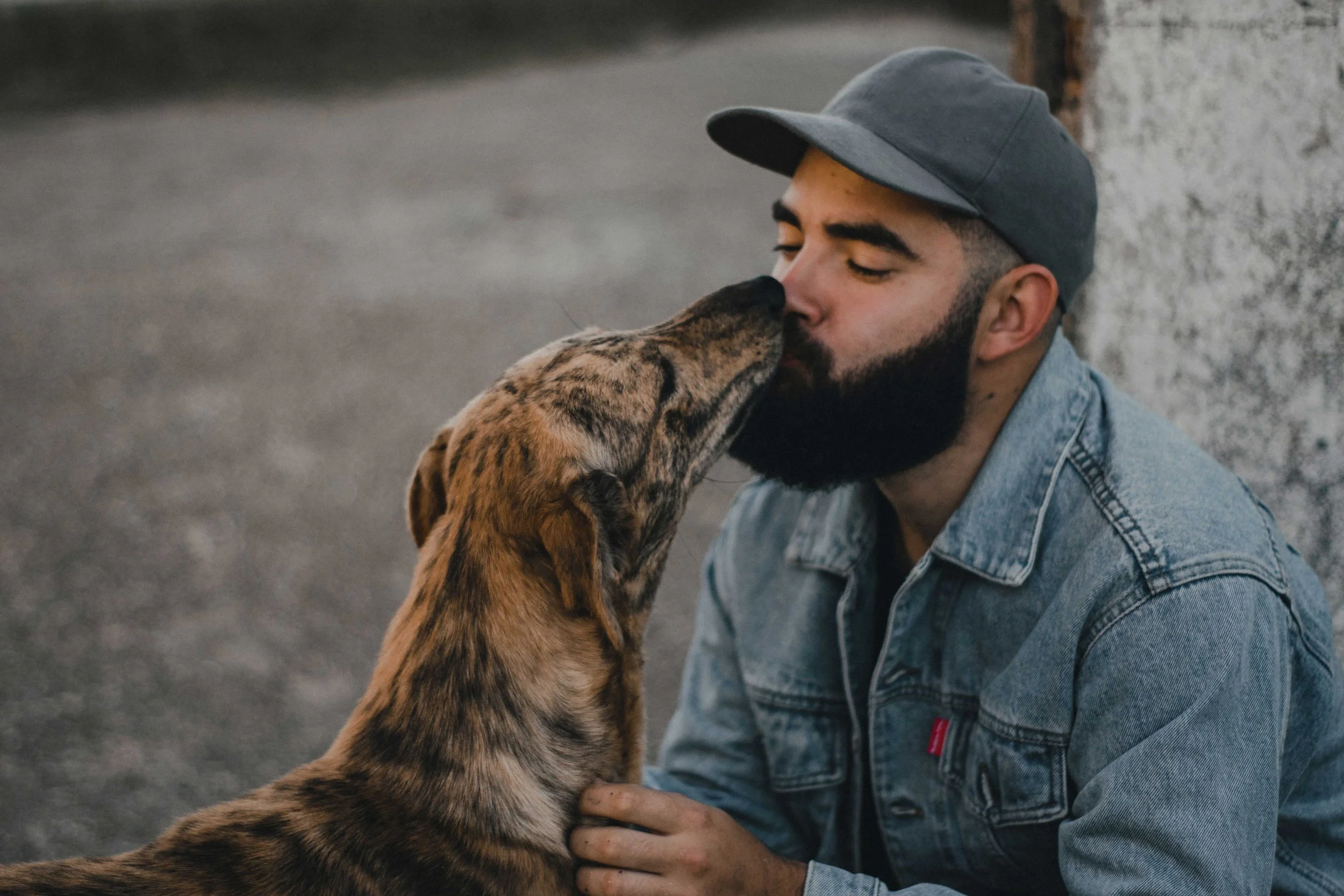 Dog giving its owner a kiss on the nose, illustrating trust, affection, and the emotional benefits of companion animals.