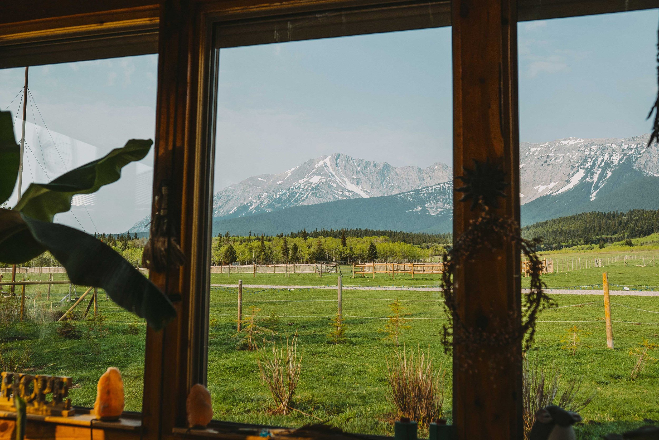 Laptop near a window overlooking a Colorado mountain landscape