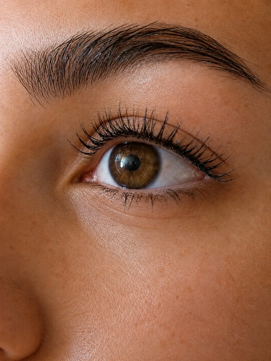Nahaufnahme eines braunen Auges mit langen Wimpern und kräftigem braunen Auge nach einem Winpernlifting im Kosmetikstudio Hautidee in Schwülper