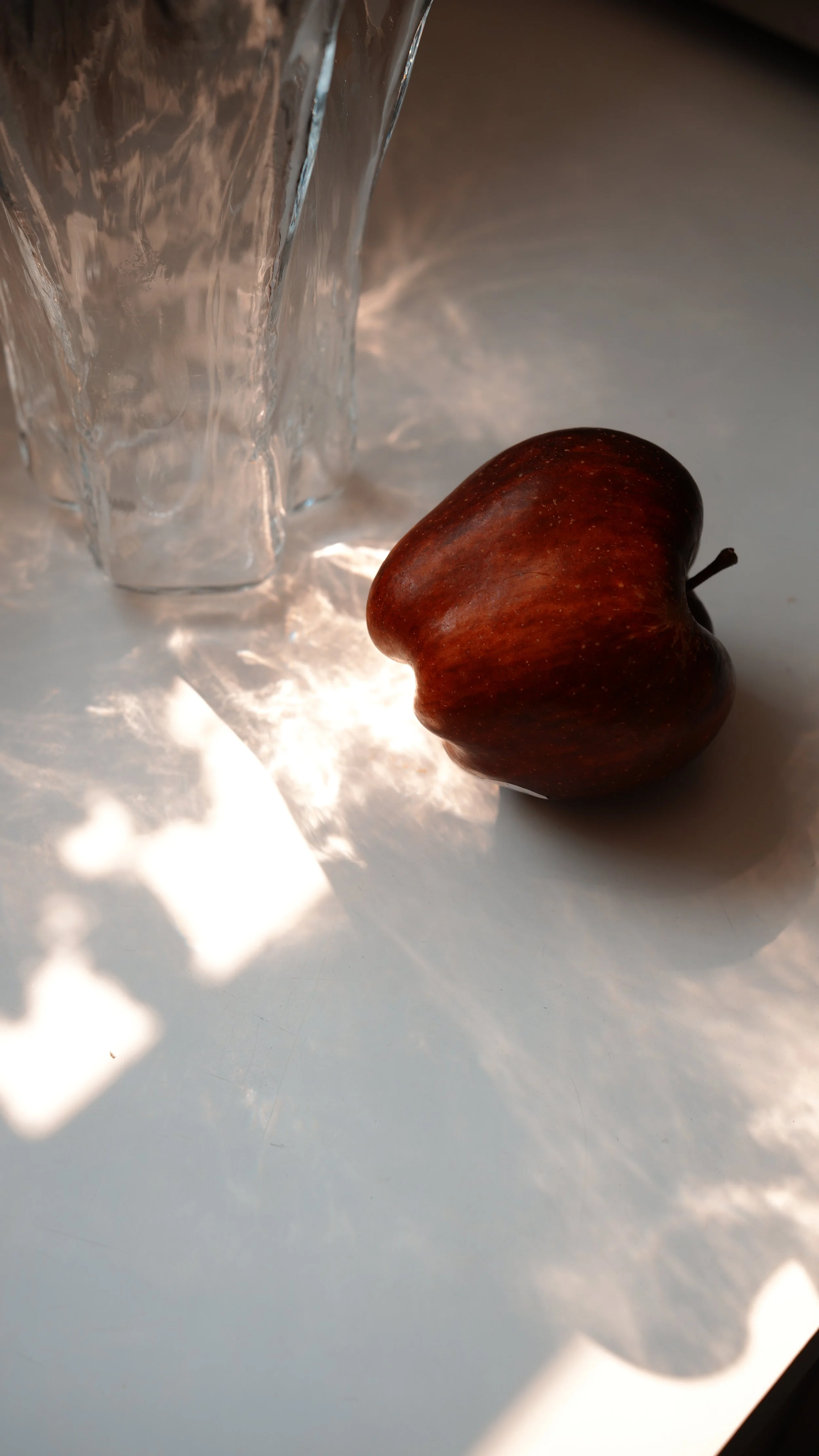 OBJECT STUDIES