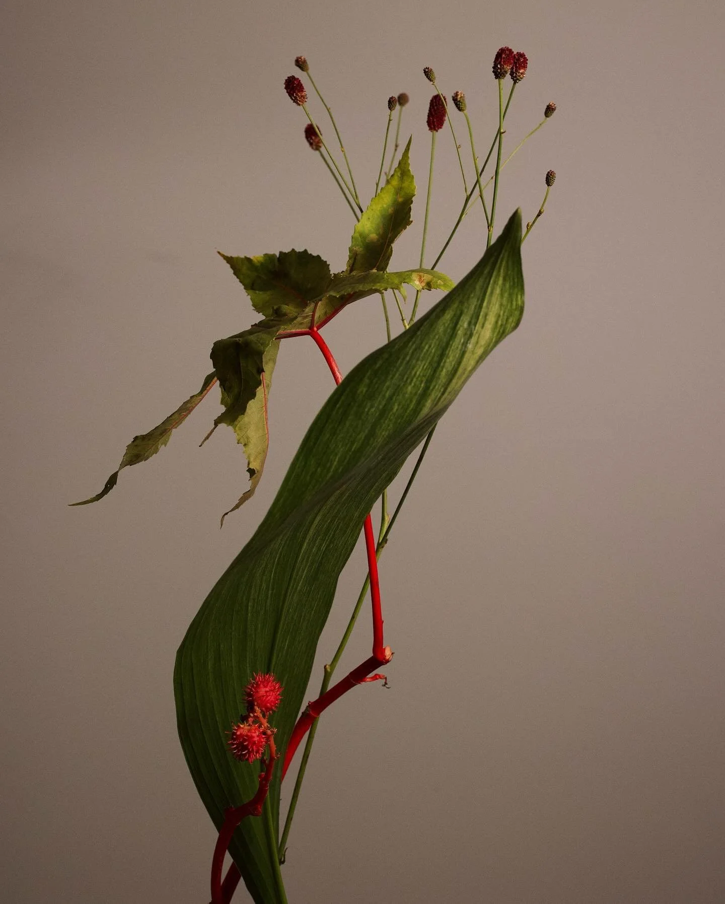IKEBANA