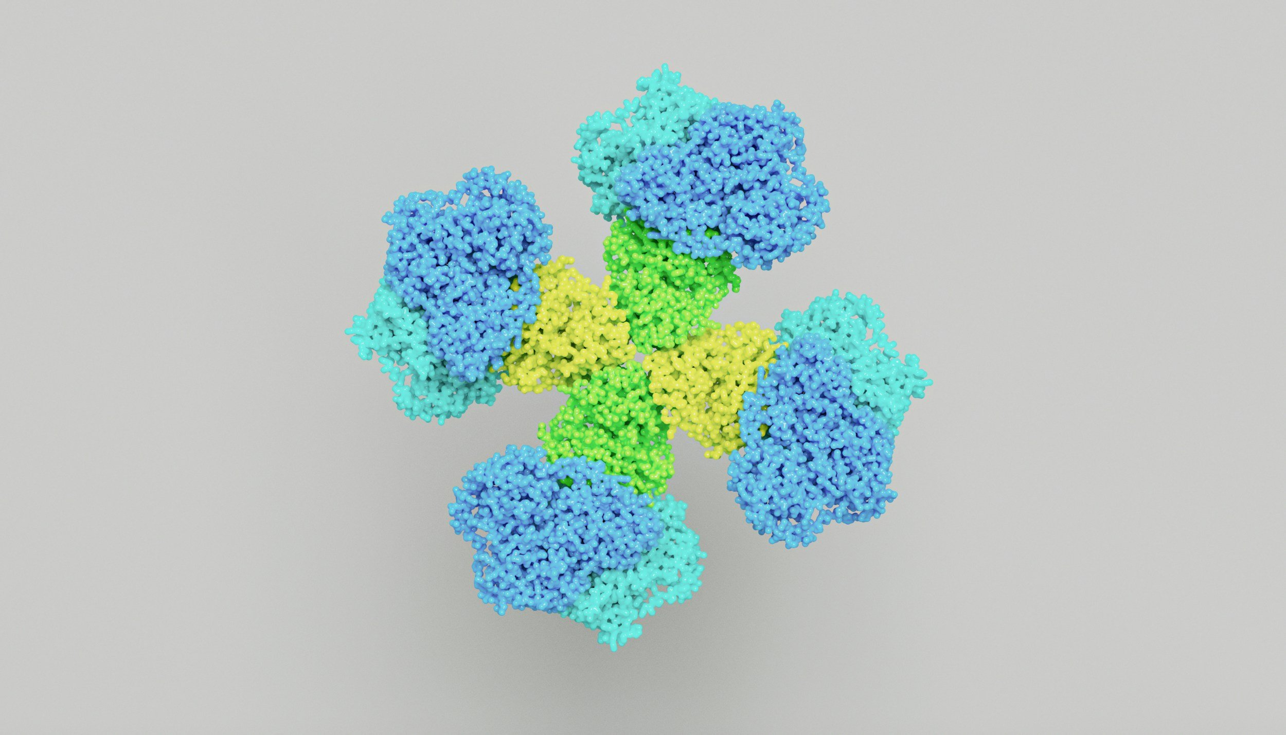 A colorful molecular model of a biological structure against a plain gray background.